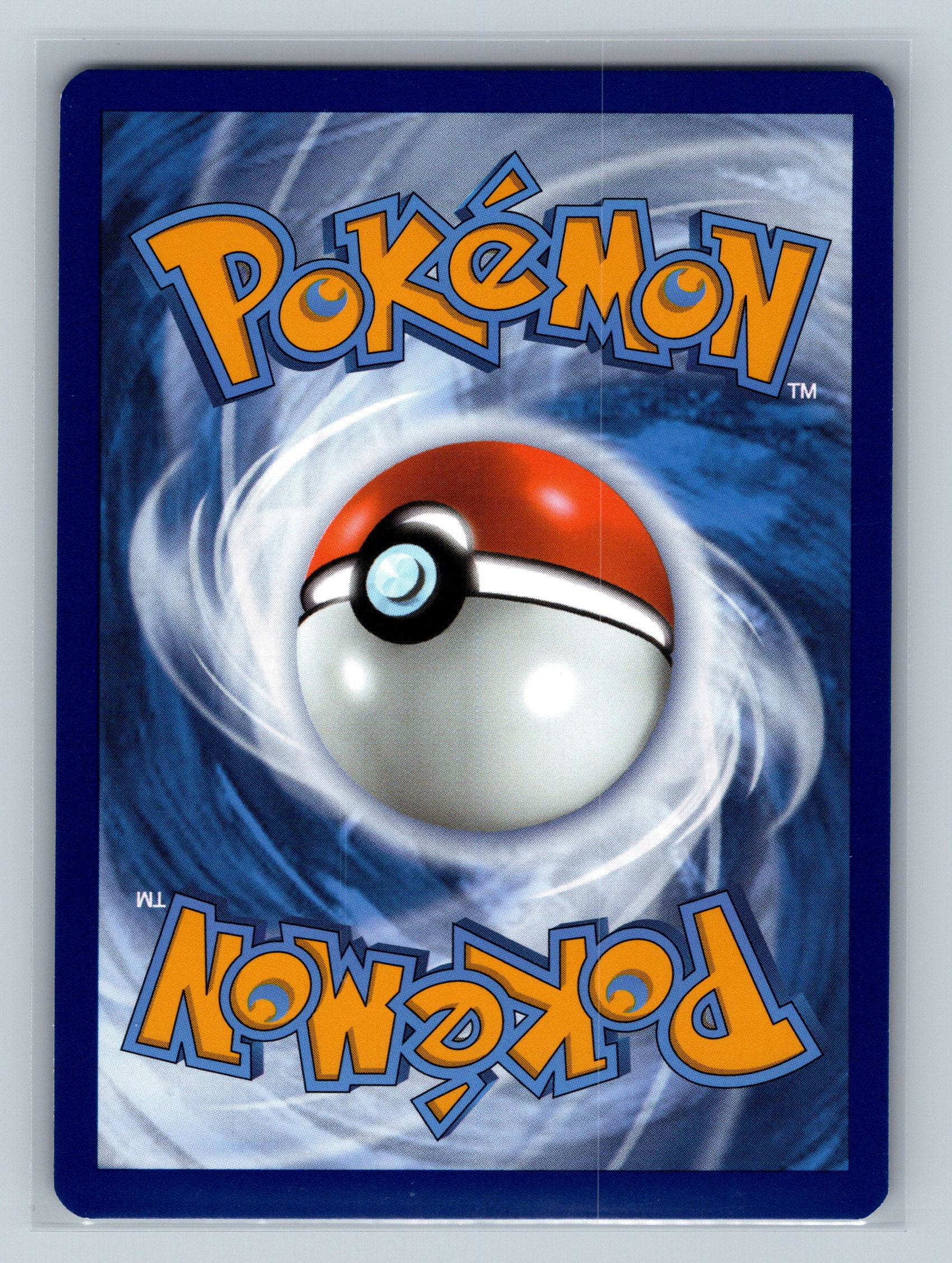 Sharpedo (Back)