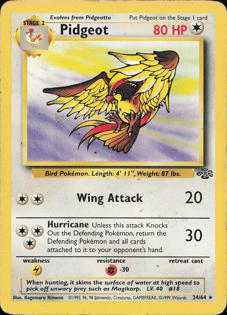 Pidgeot (24)