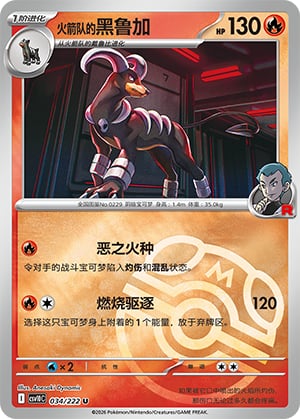 Team Rocket's Houndoom (Master Ball) - 34