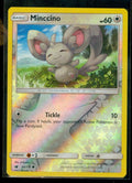 Minccino
