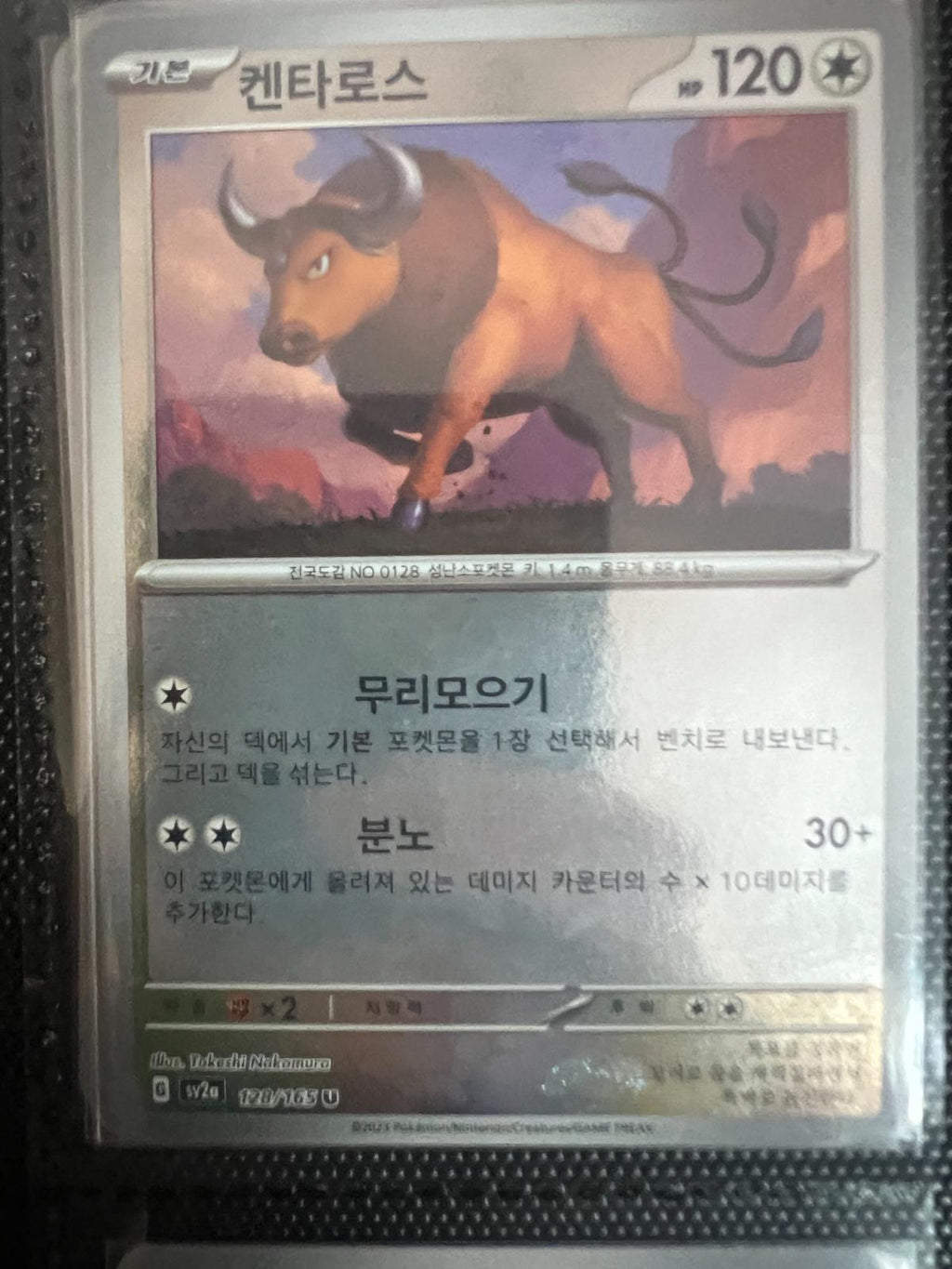 Tauros - 128