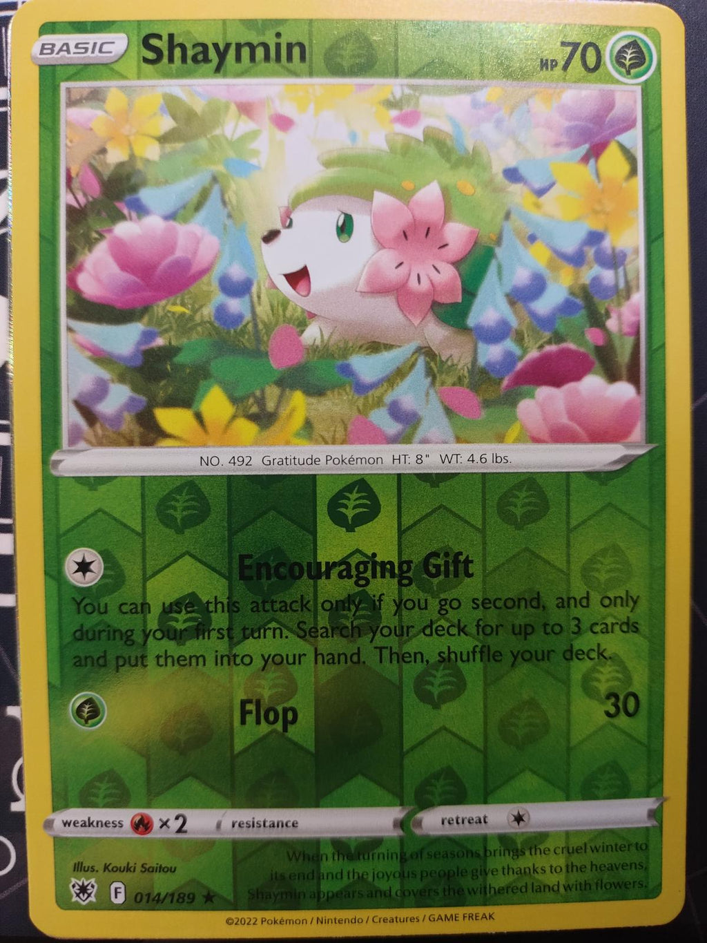 Shaymin