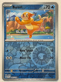Buizel