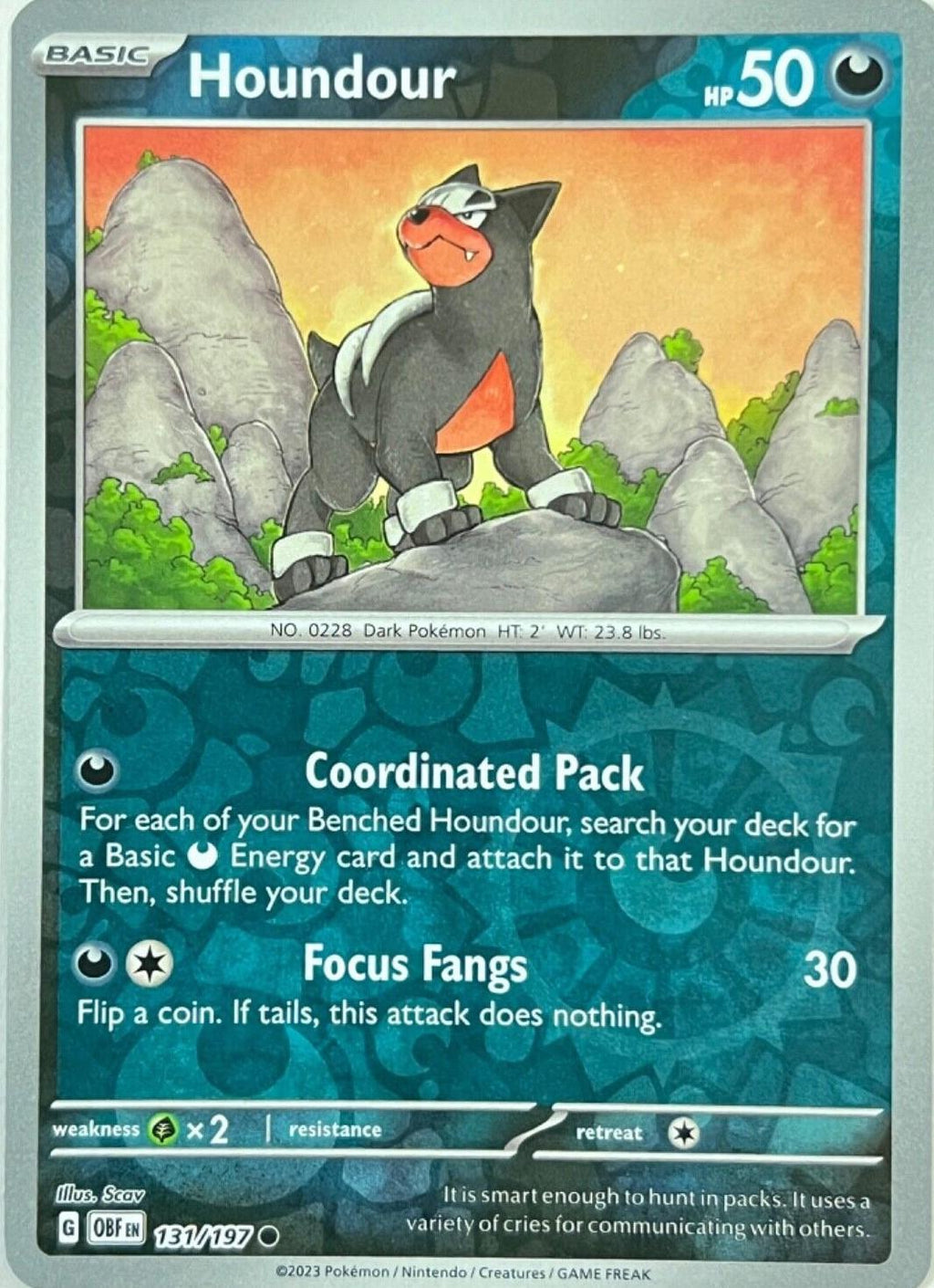 Houndour - 131/197