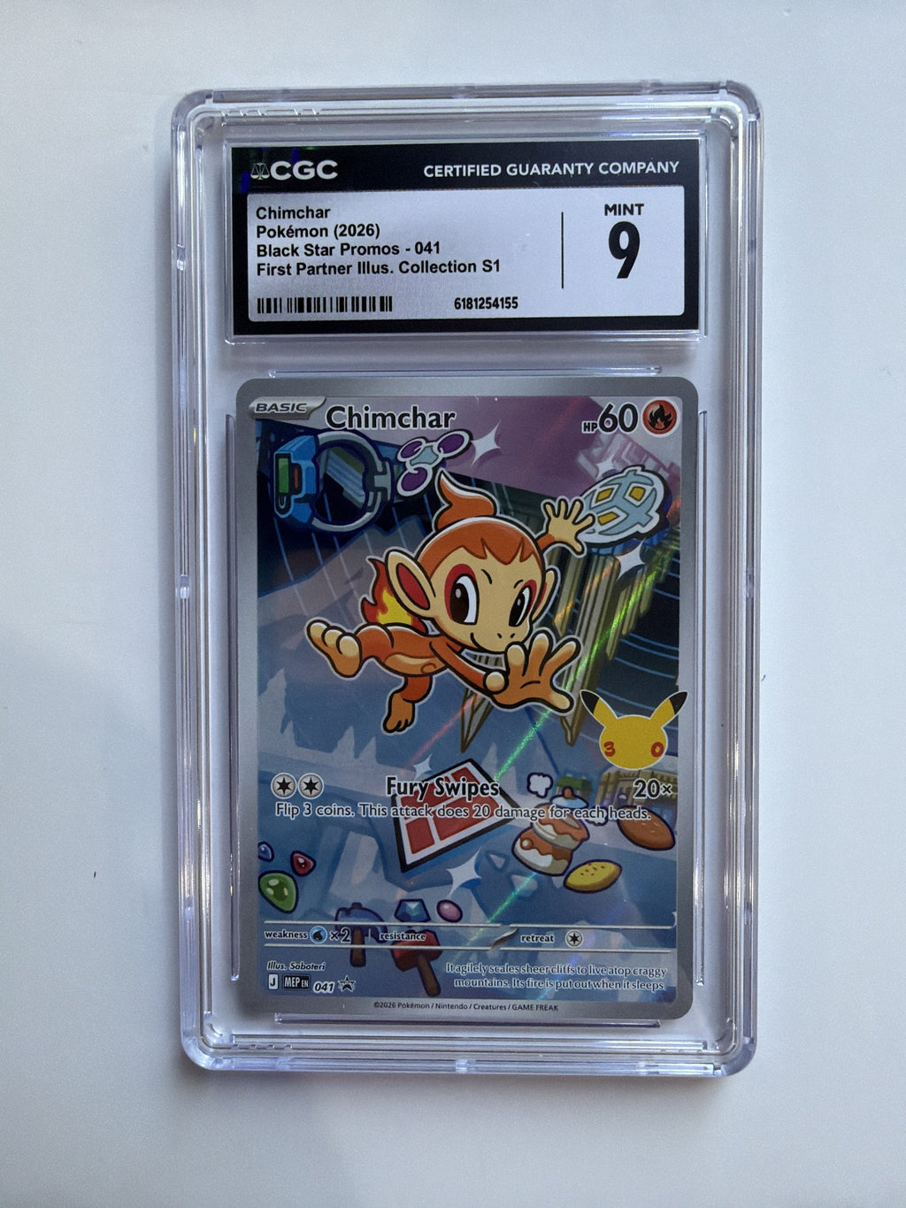 Chimchar - 041