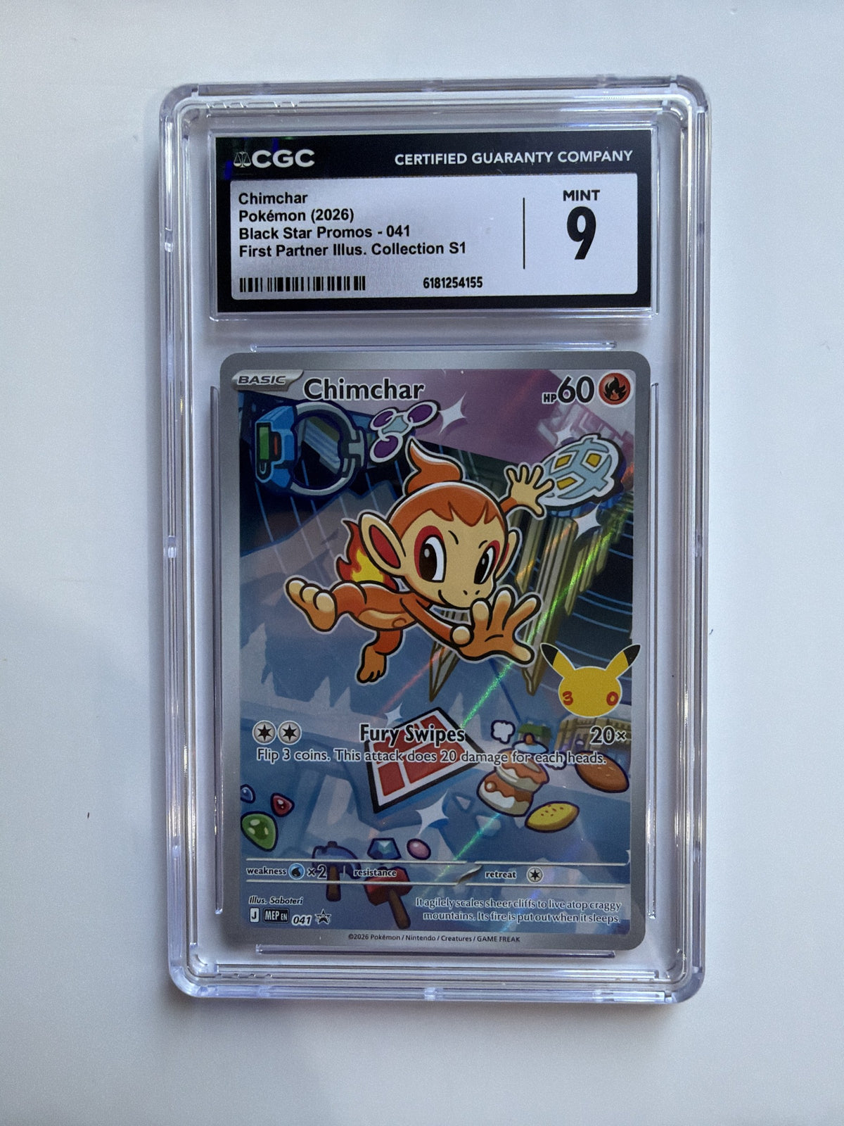 Chimchar - 041