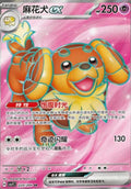 Dachsbun ex - 220