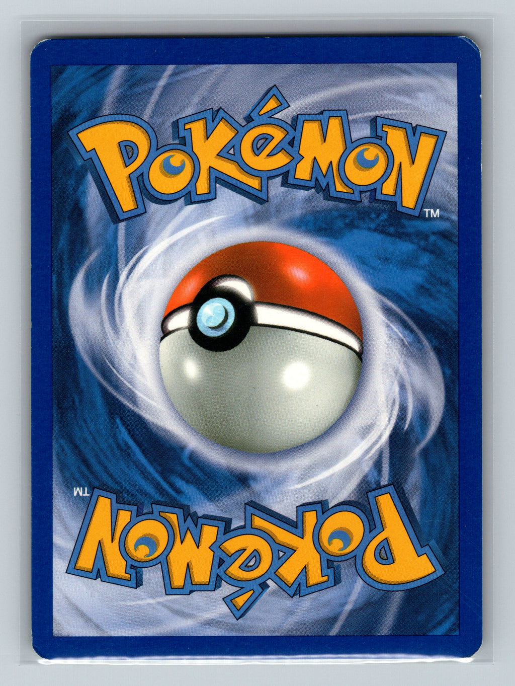 Sandile - 8/12 (Back)