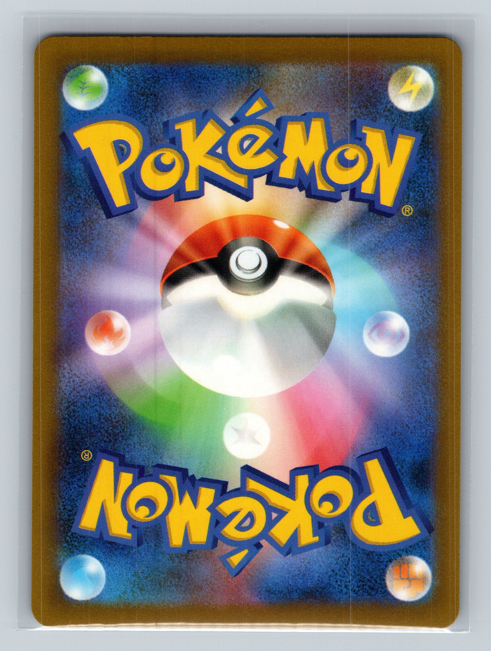 Seel (Back)