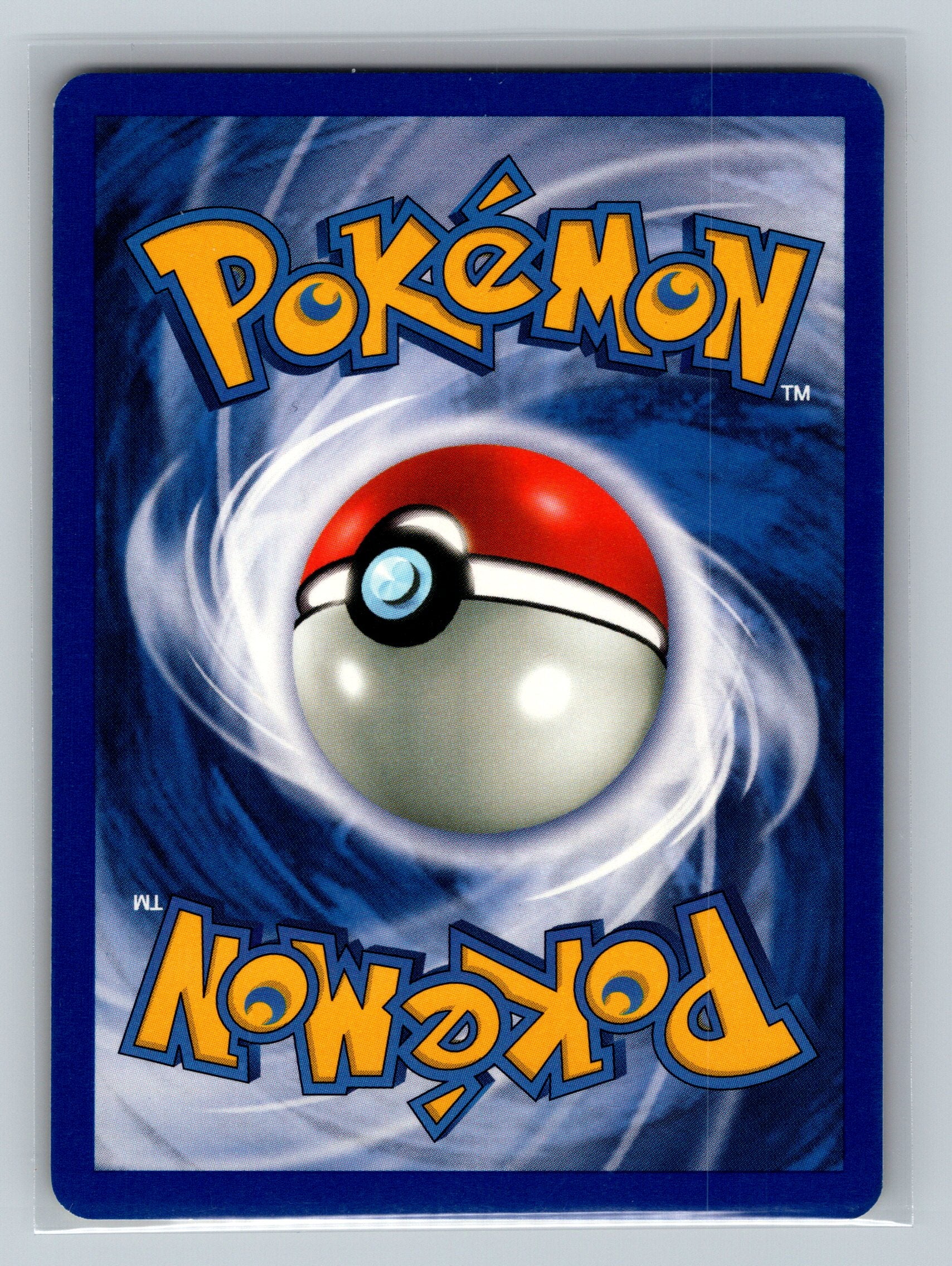 Pewter City Gym (Back)