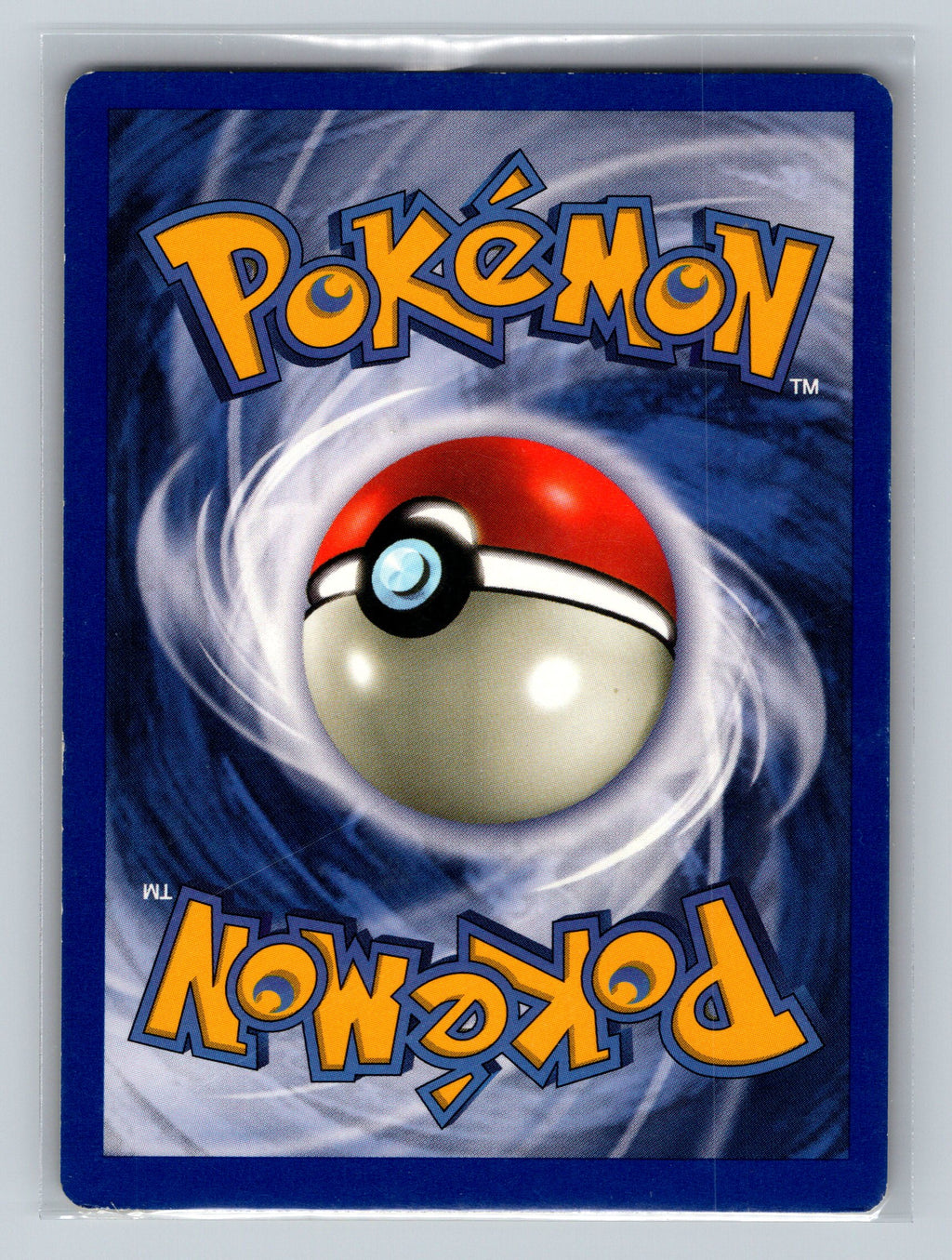 Wartortle (Back)