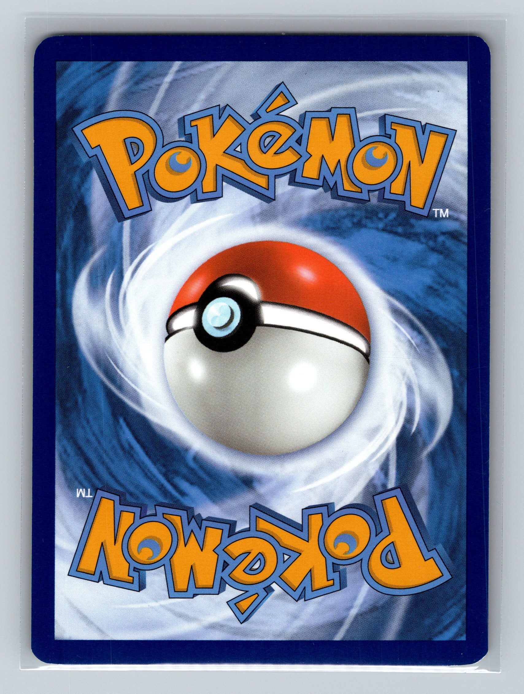 Rapidash (Back)