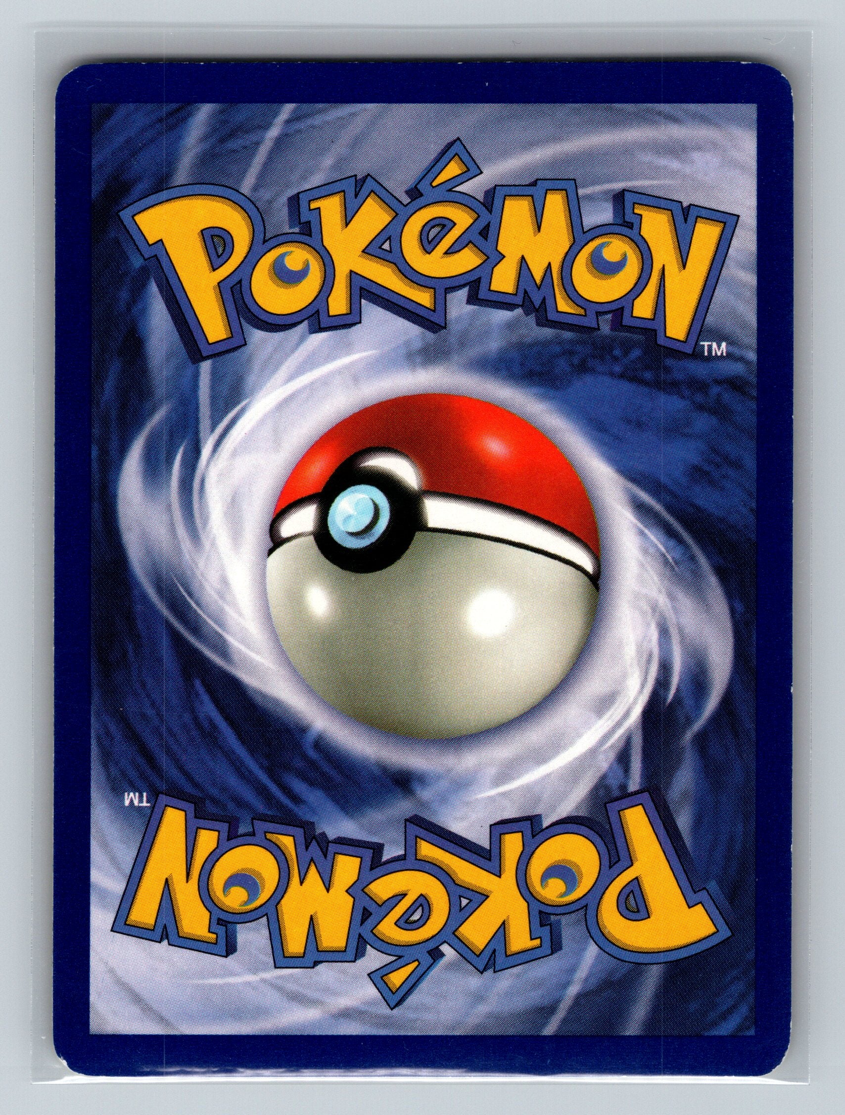 Wartortle (Back)
