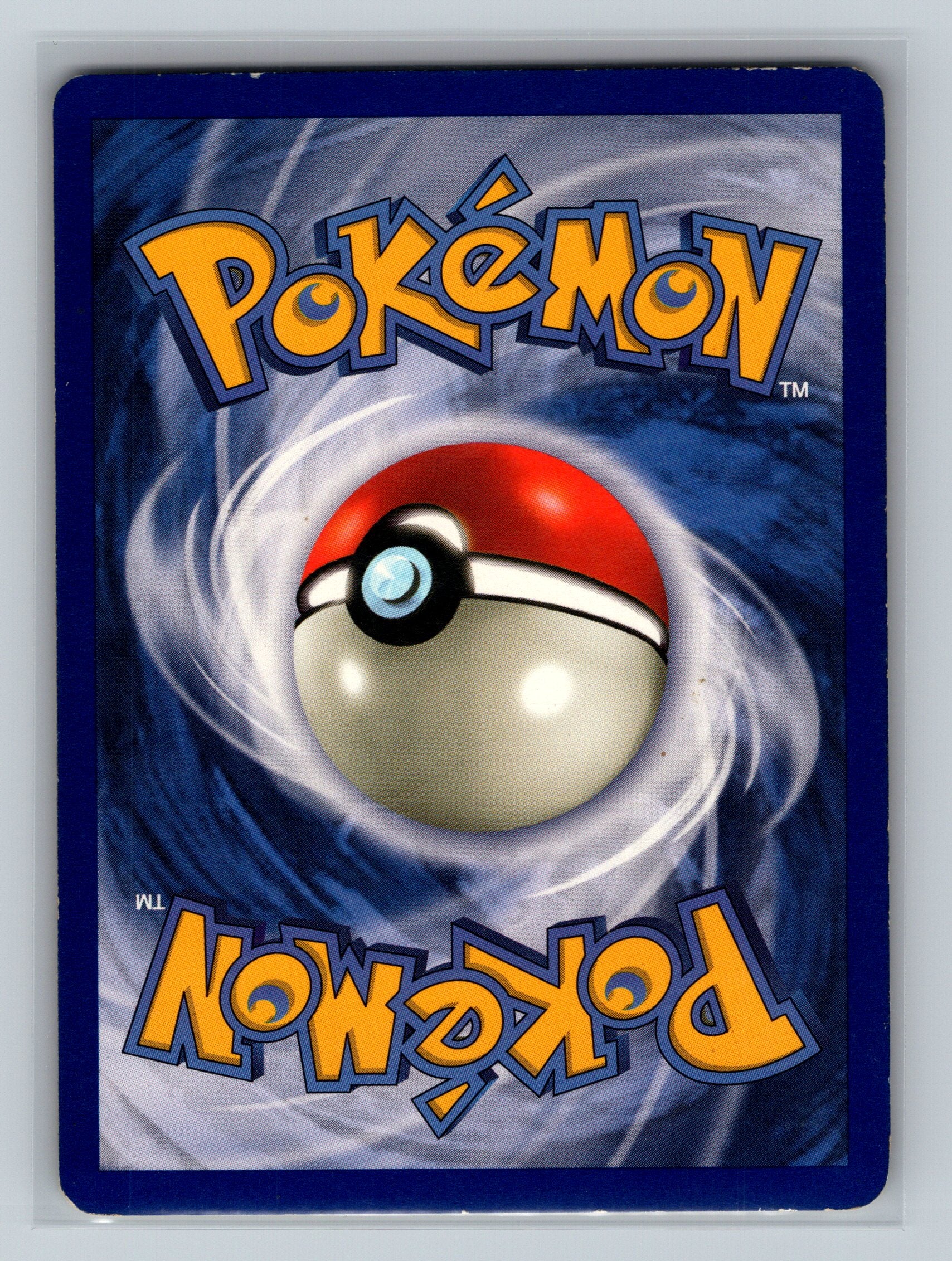 Dewgong (Back)