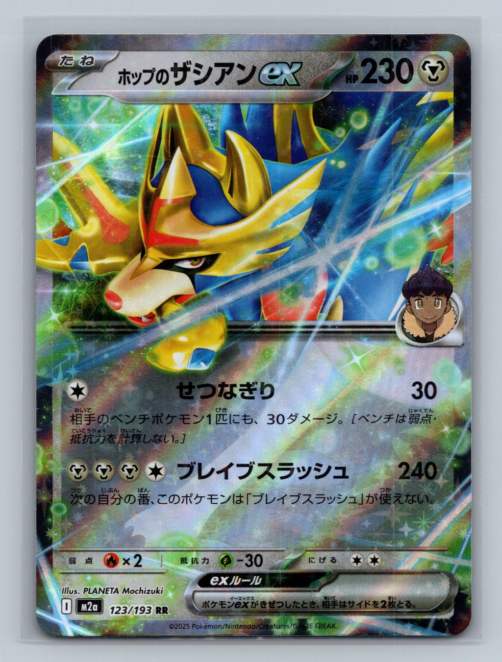Hop's Zacian ex