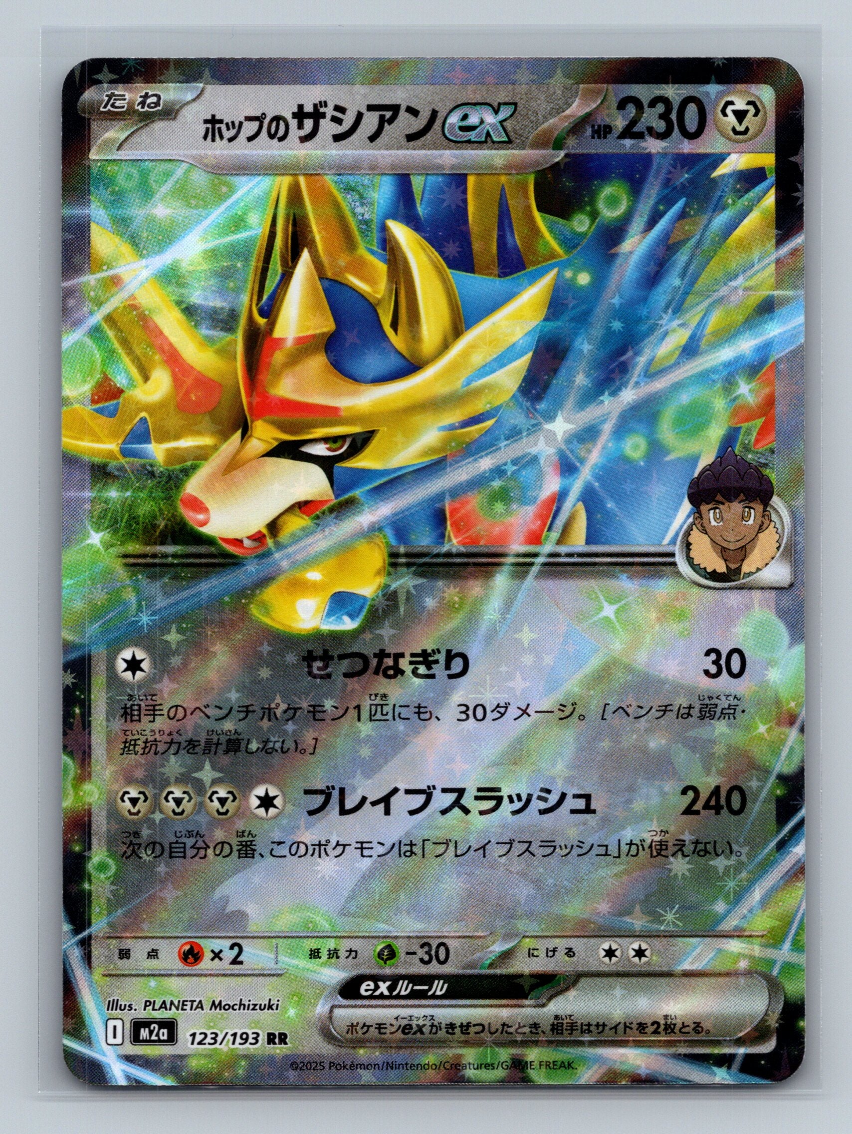 Hop's Zacian ex