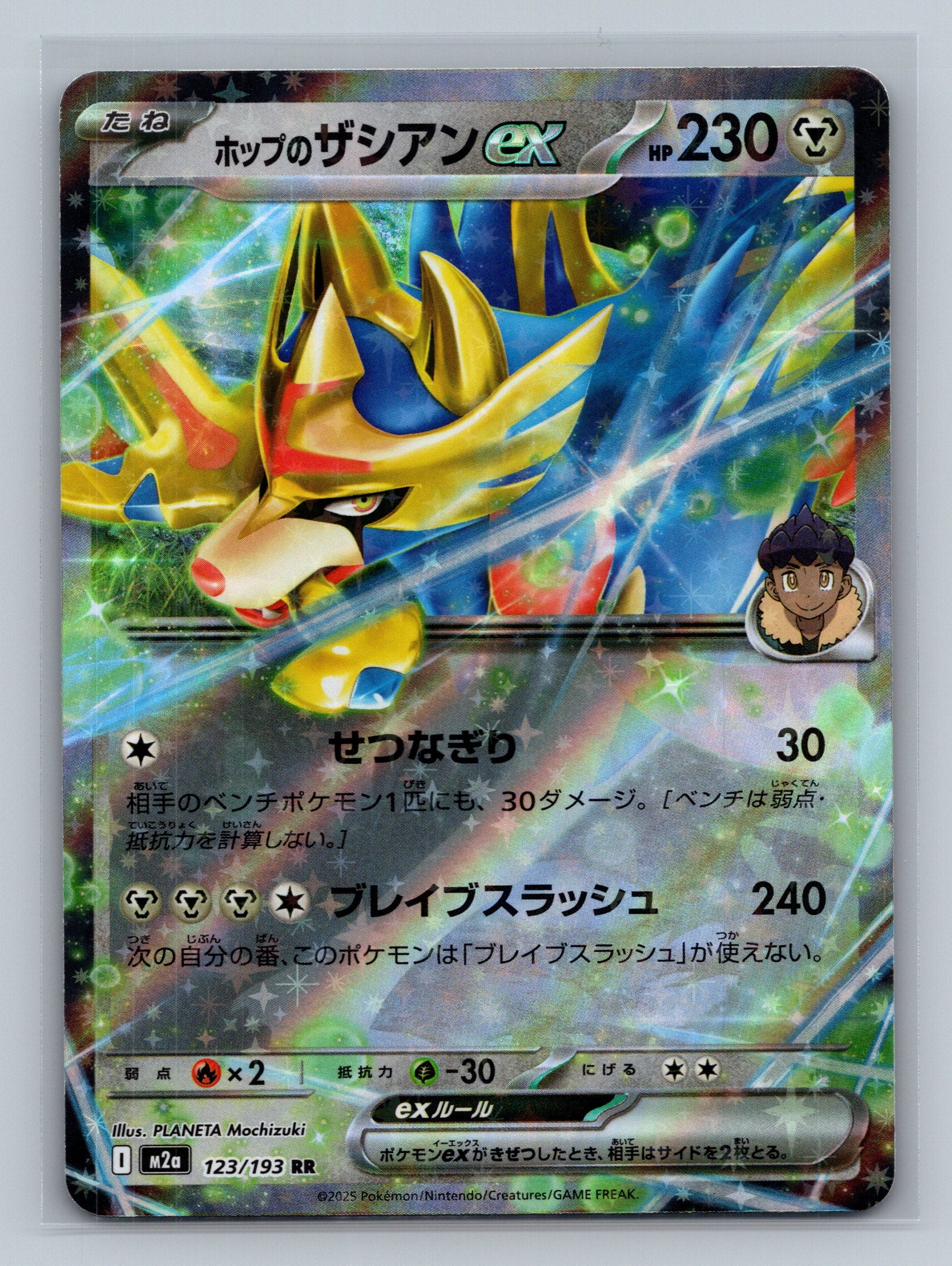 Hop's Zacian ex