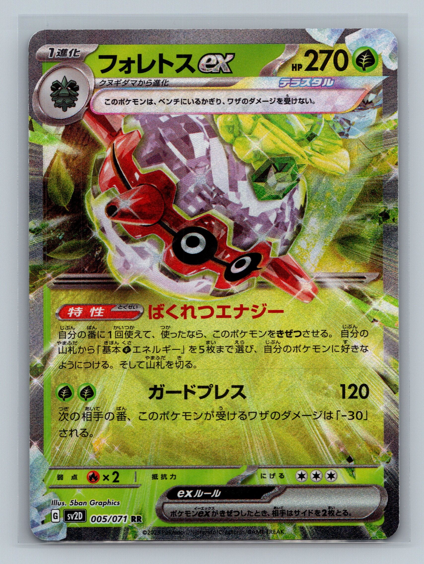 Forretress ex - 005/071