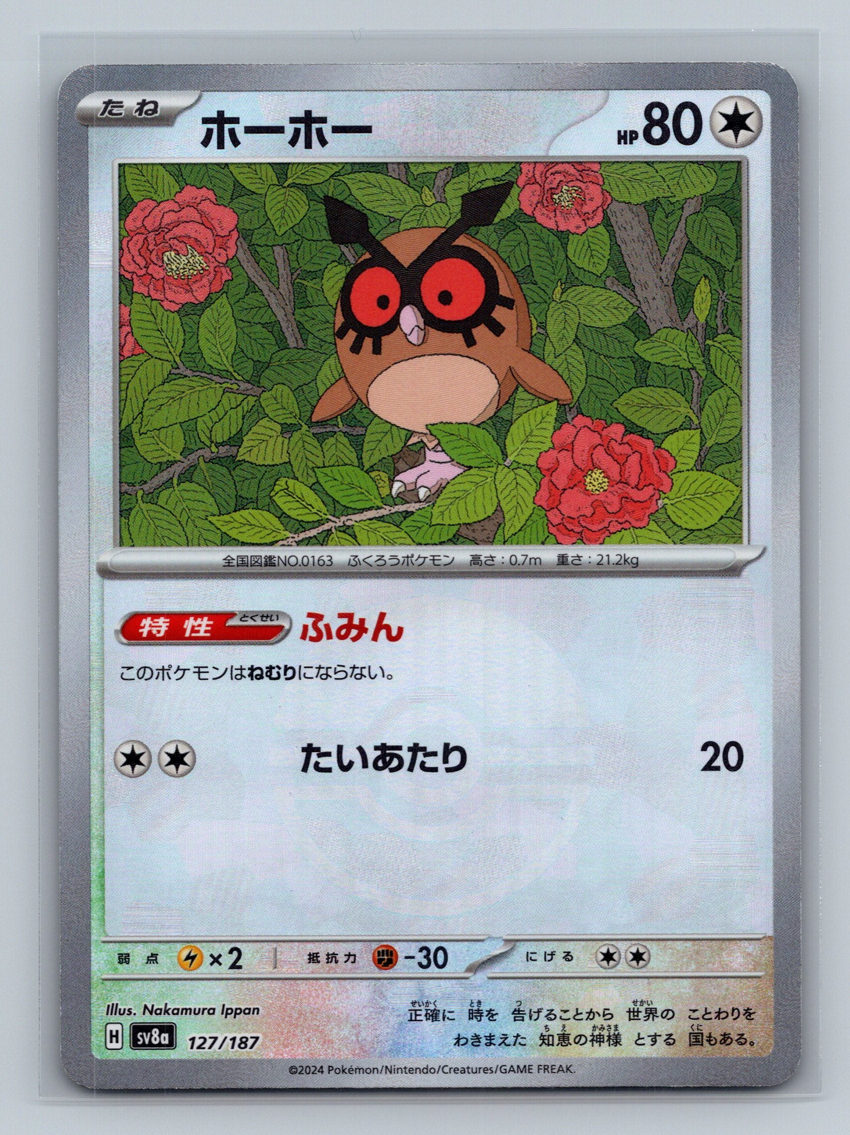 Hoothoot (Mirror Foil)