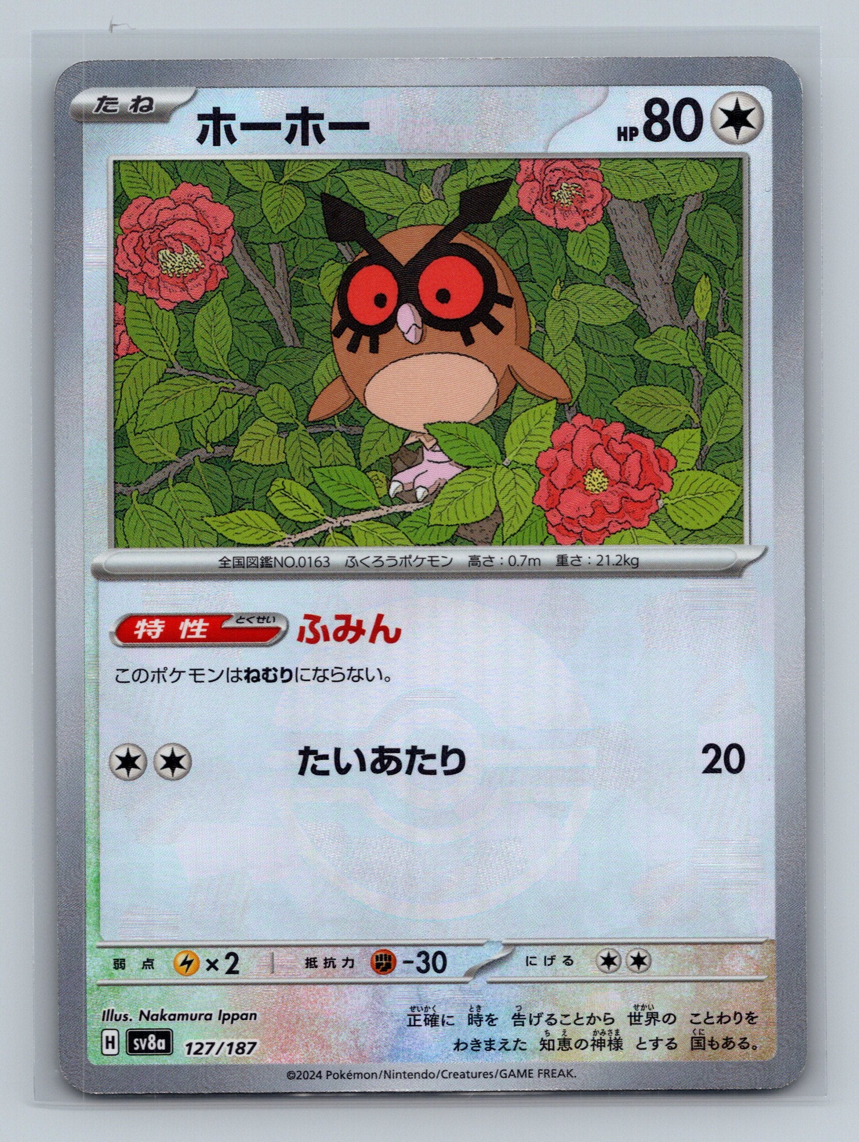 Hoothoot (Mirror Foil)