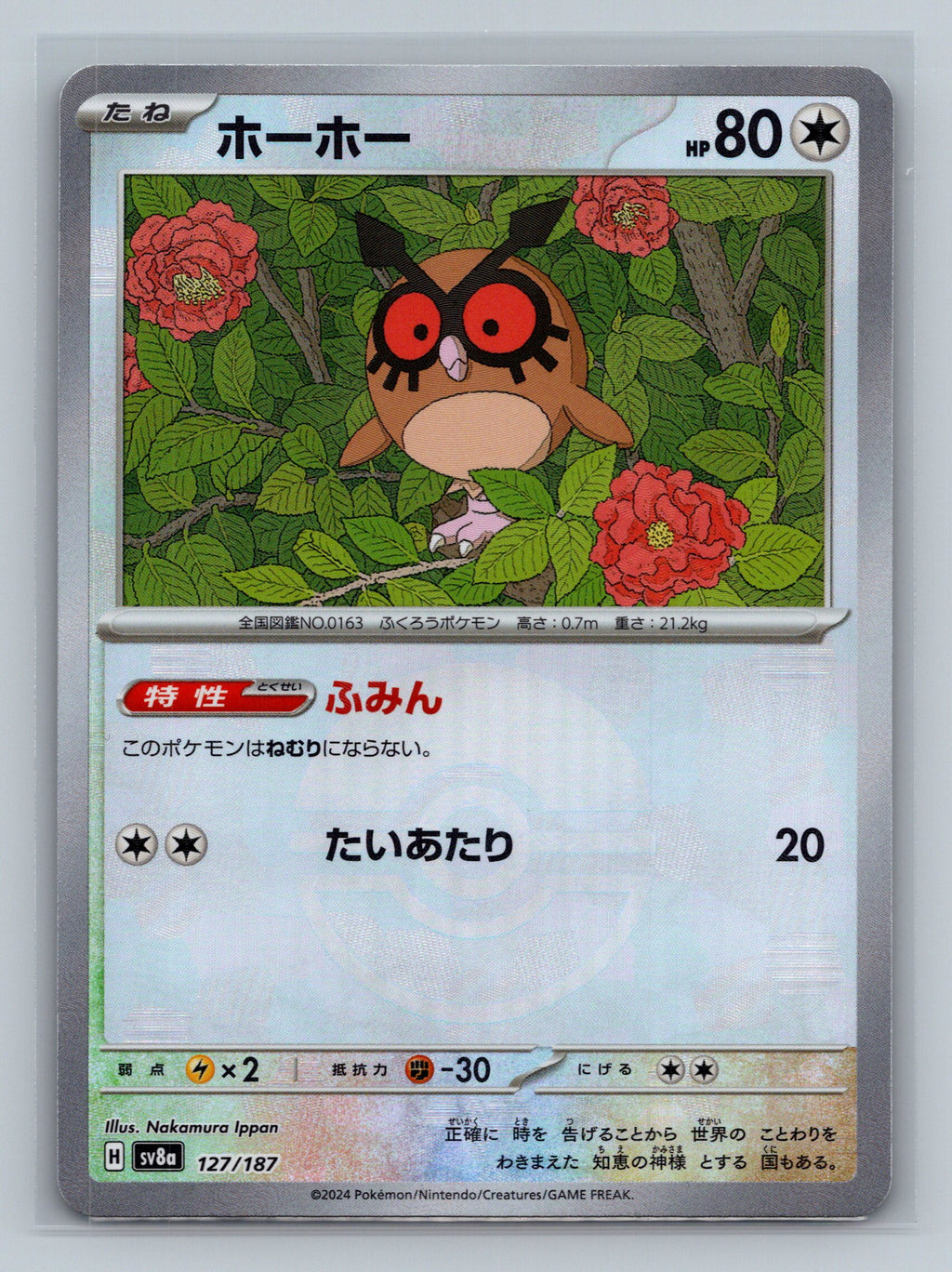 Hoothoot (Mirror Foil)