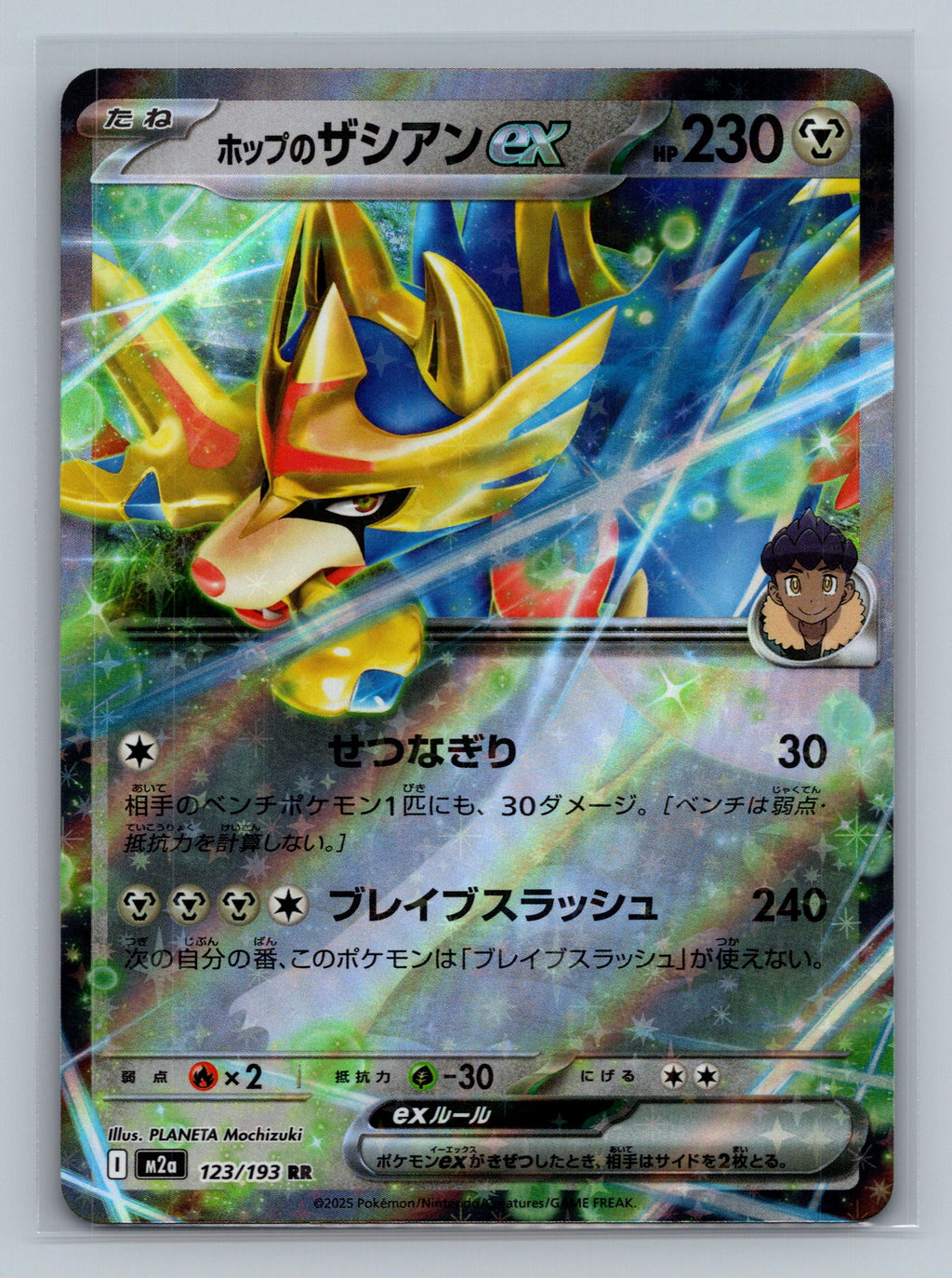 Hop's Zacian ex