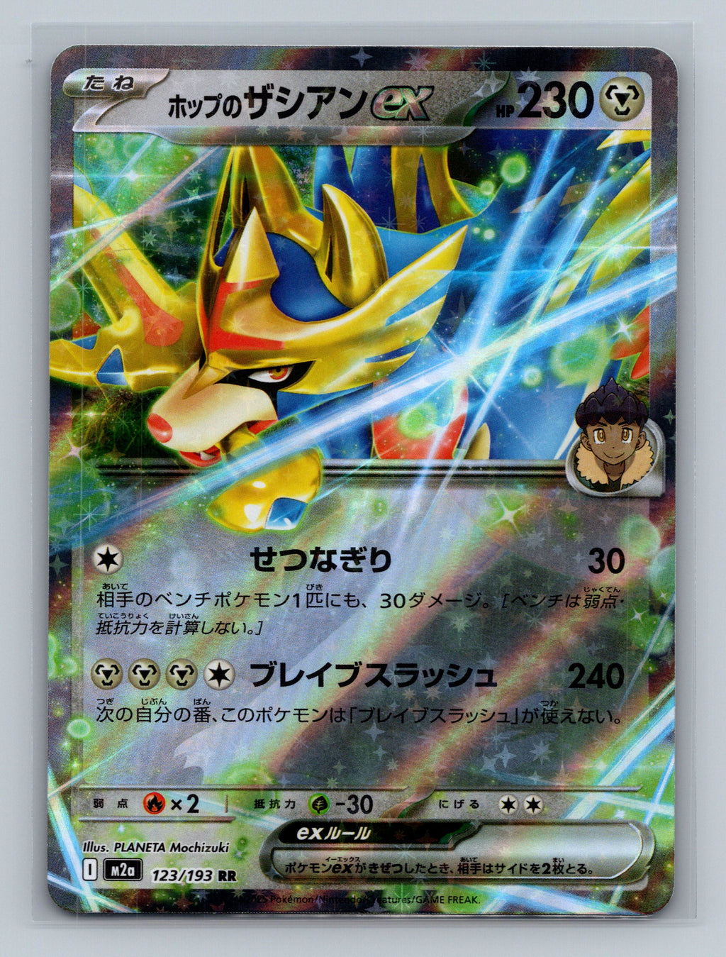 Hop's Zacian ex