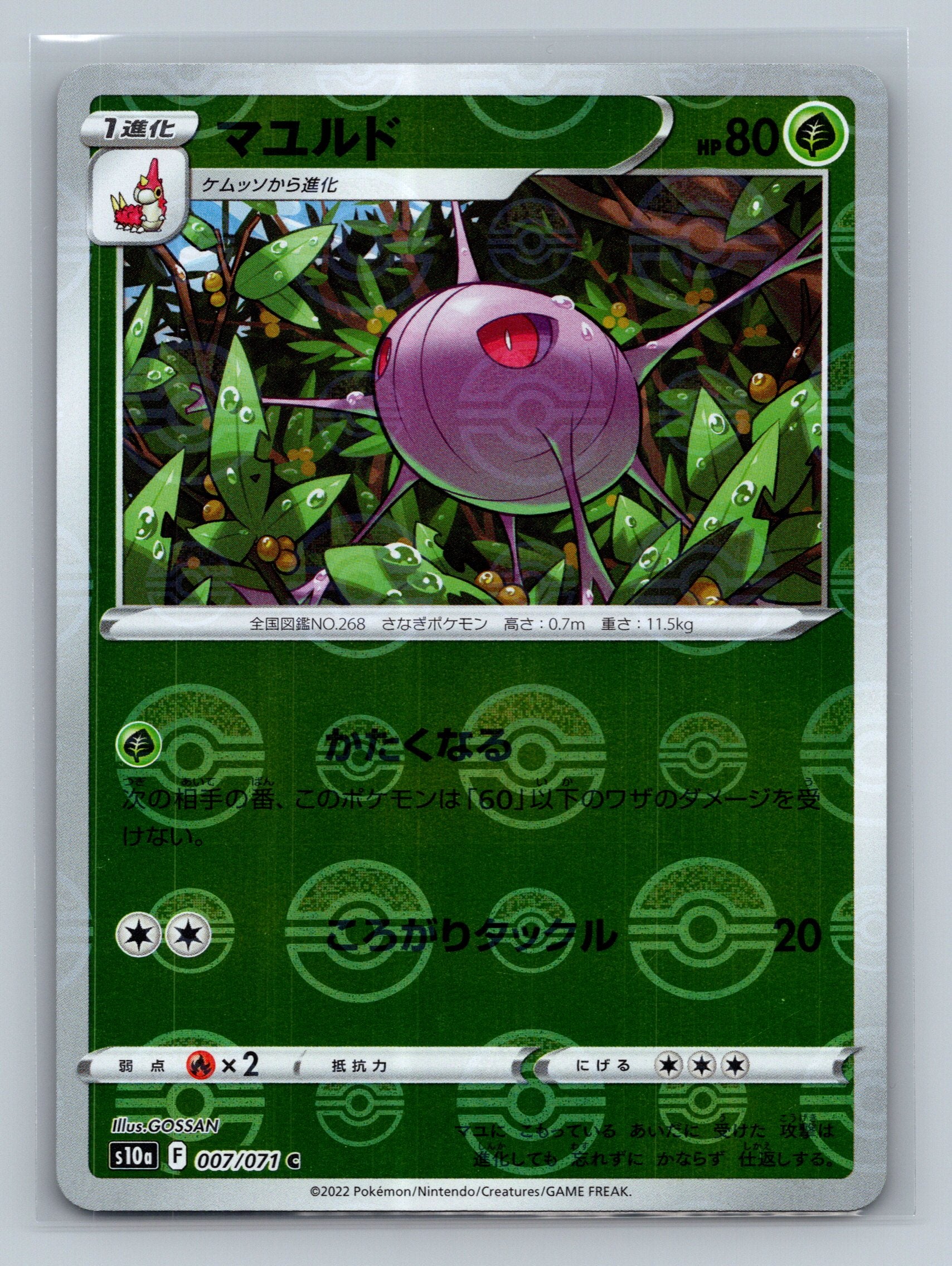 Cascoon (Mirror Holofoil)