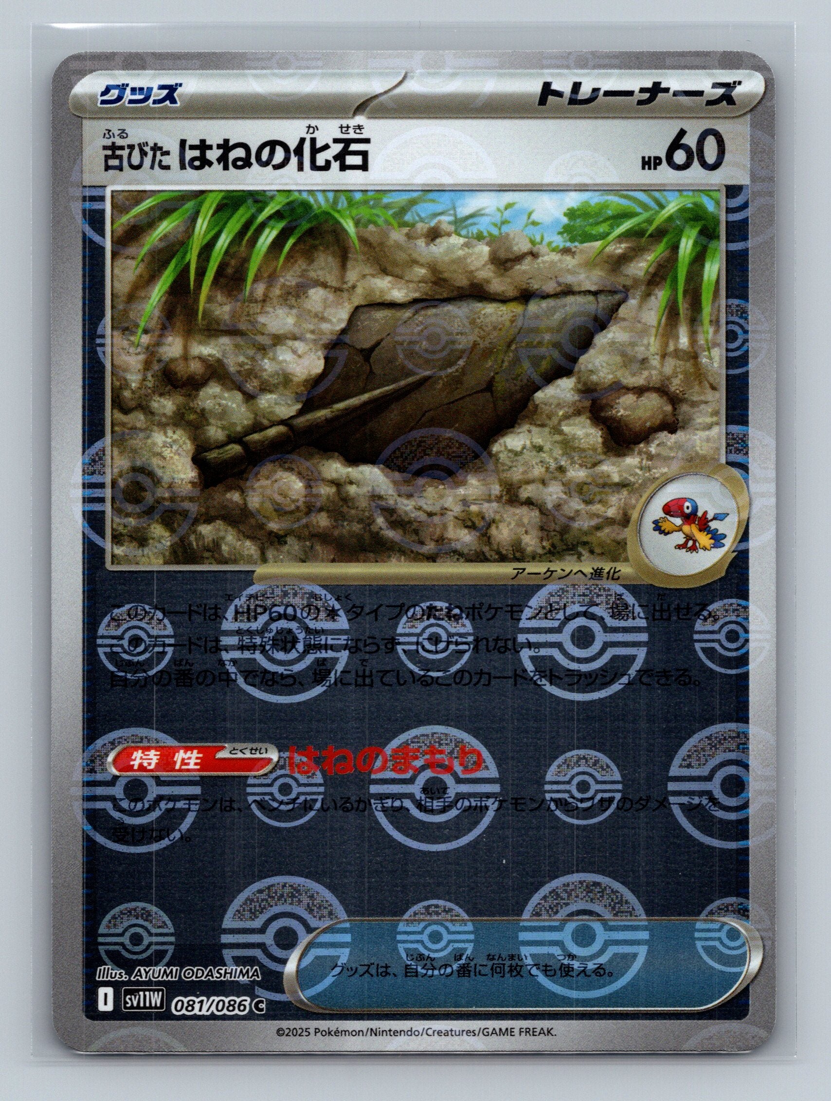 Antique Plume Fossil (Poke Ball Pattern)
