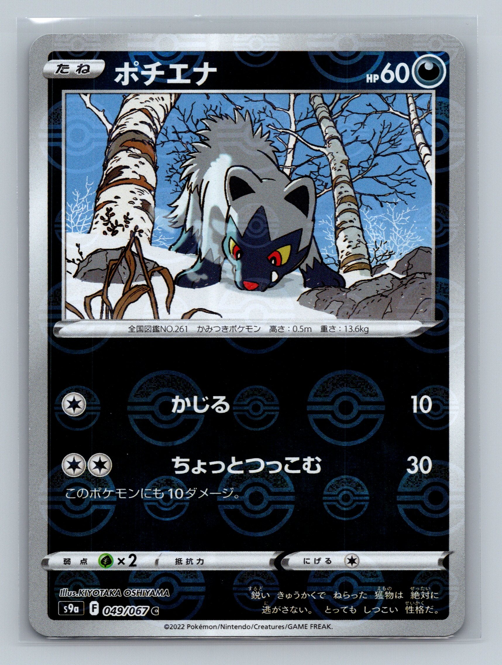 Poochyena (Poke Ball Pattern)