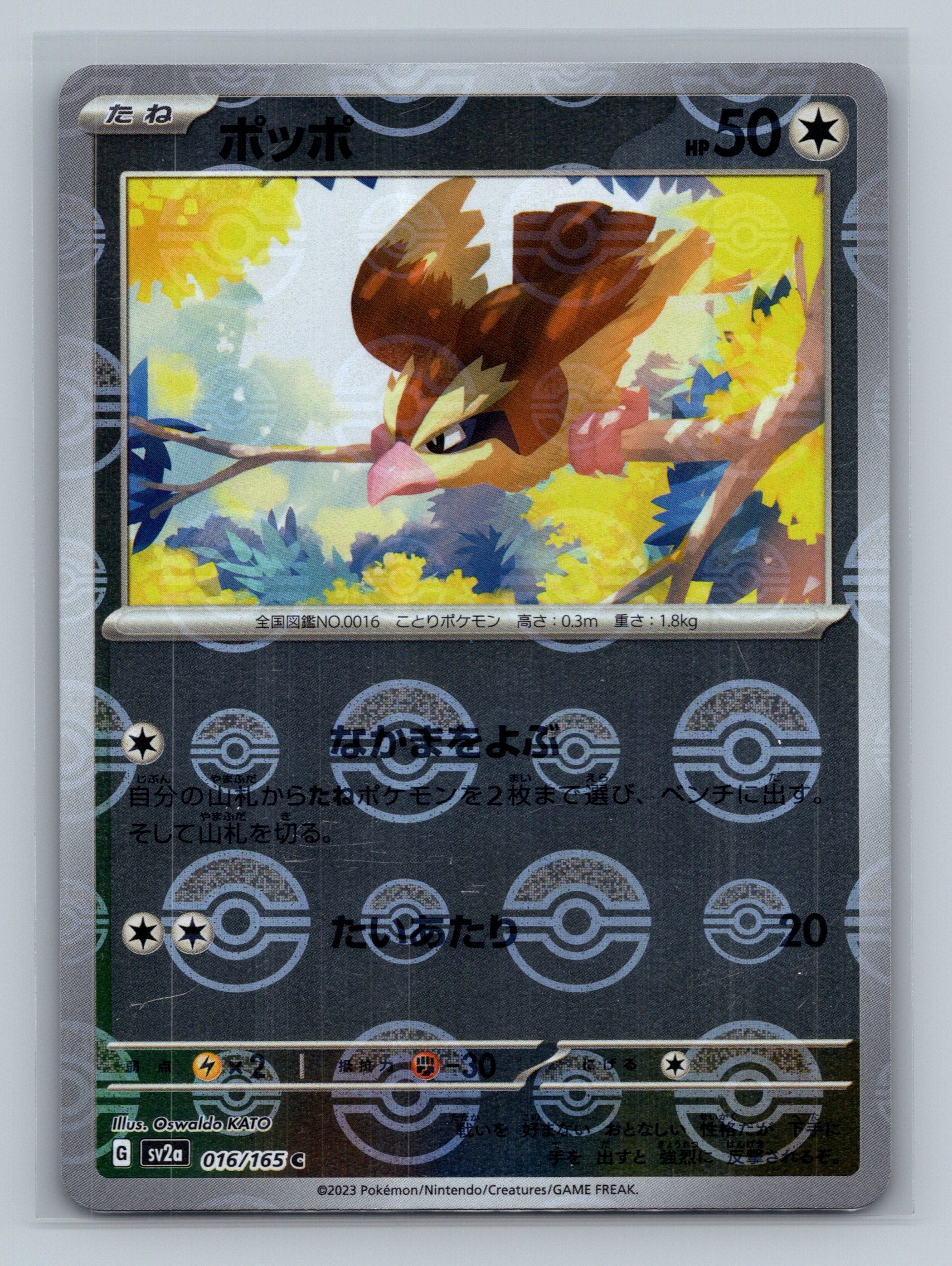 Pidgey (Poke Ball Pattern)