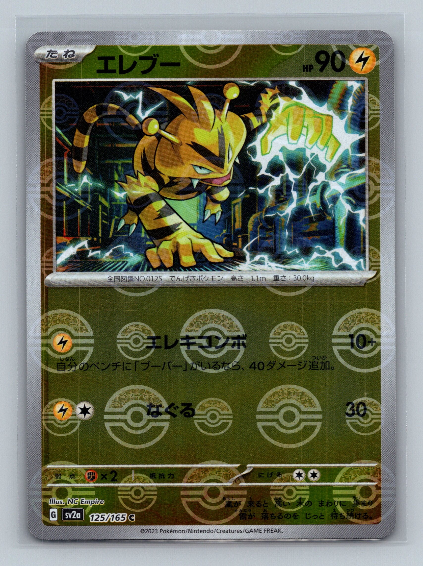 Electabuzz (Poke Ball Pattern)