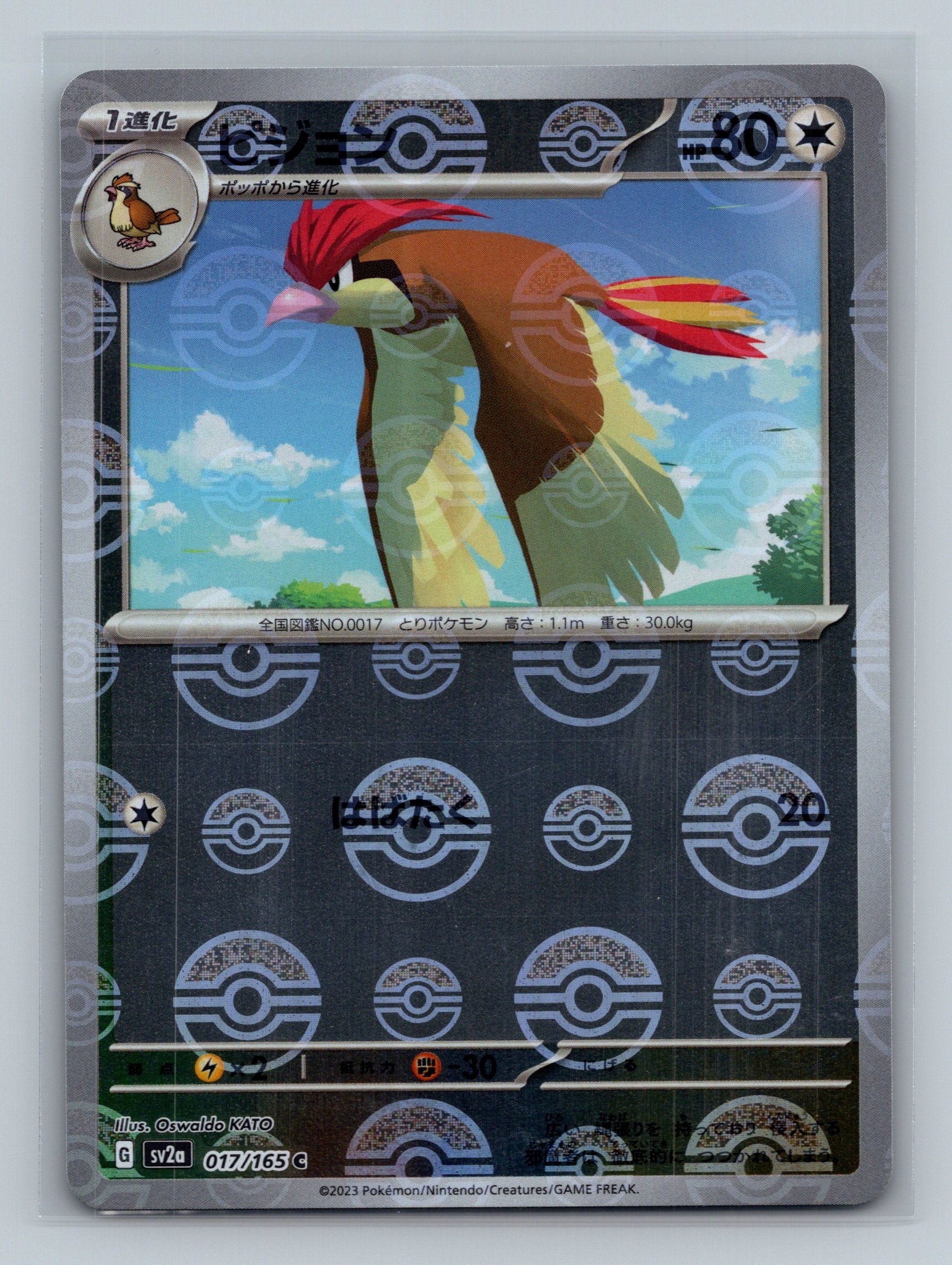 Pidgeotto (Poke Ball Pattern)