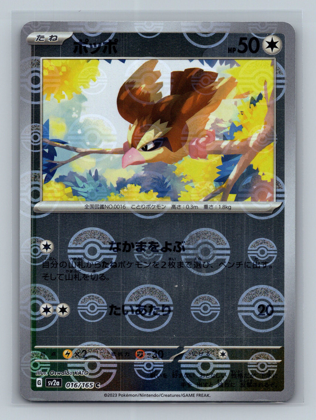 Pidgey (Poke Ball Pattern)