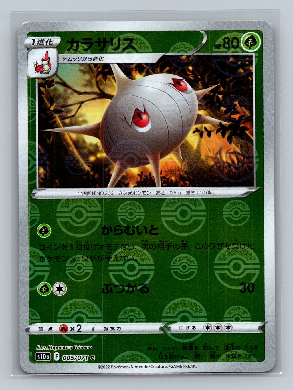 Silcoon (Mirror Holofoil)