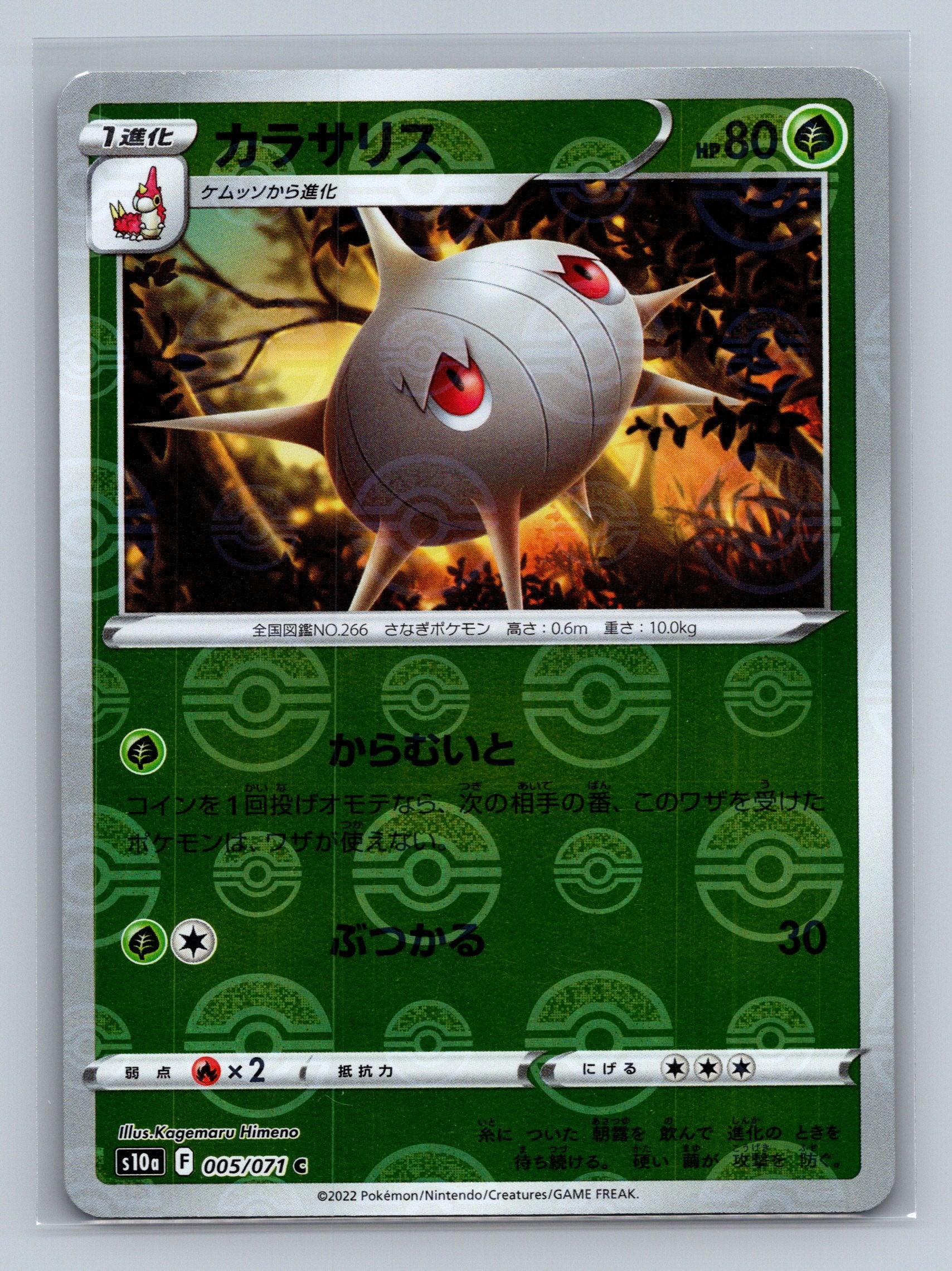 Silcoon (Mirror Holofoil)