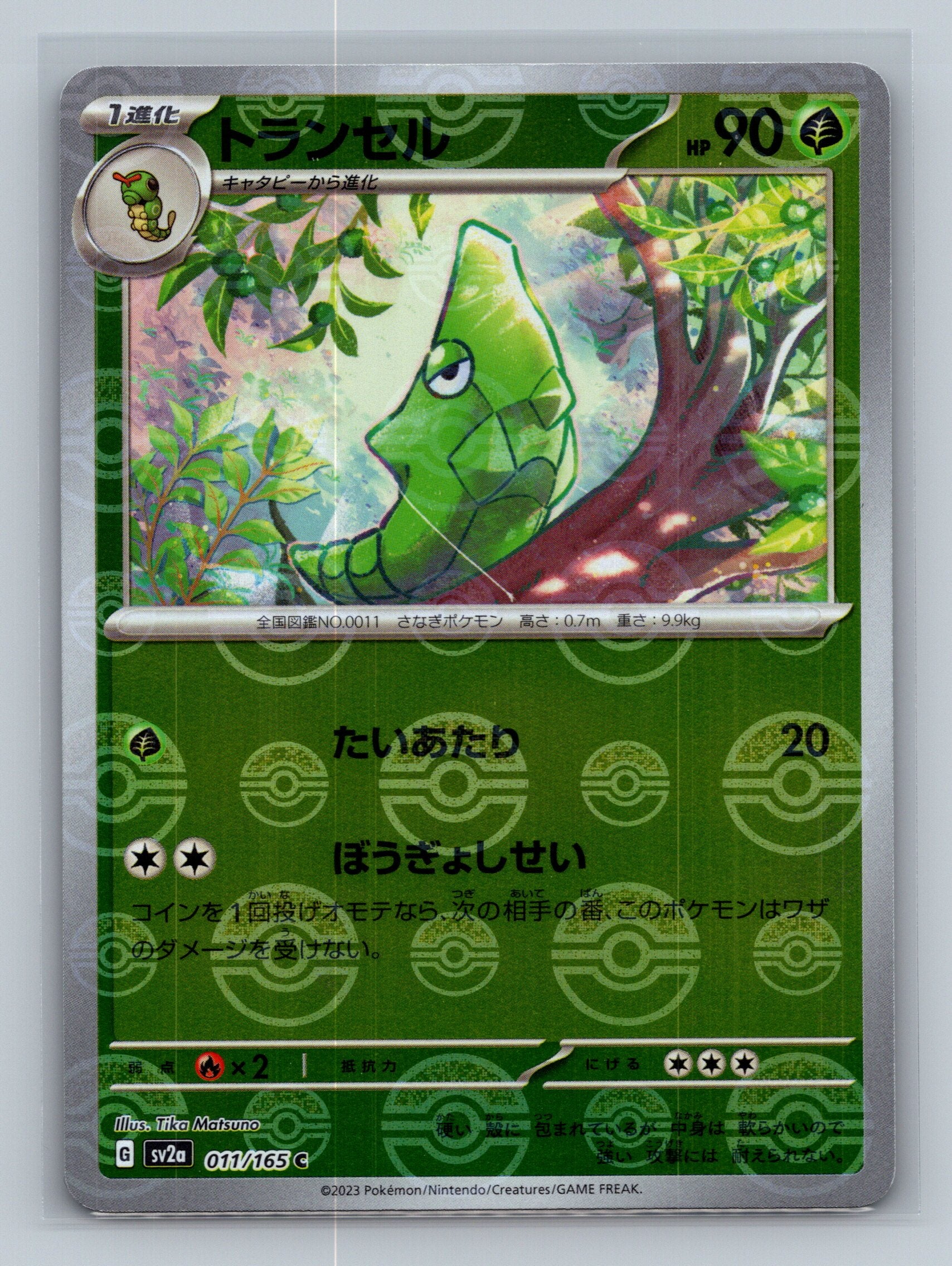 Metapod (Poke Ball Pattern)
