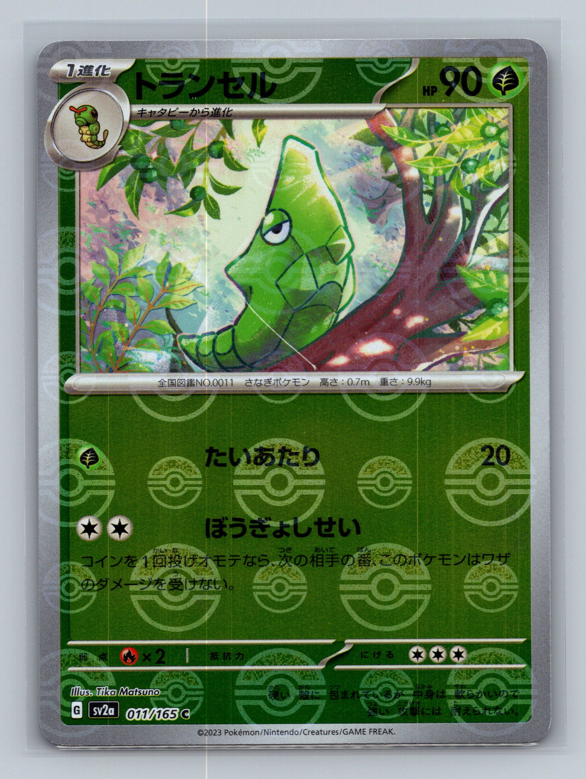 Metapod (Poke Ball Pattern)