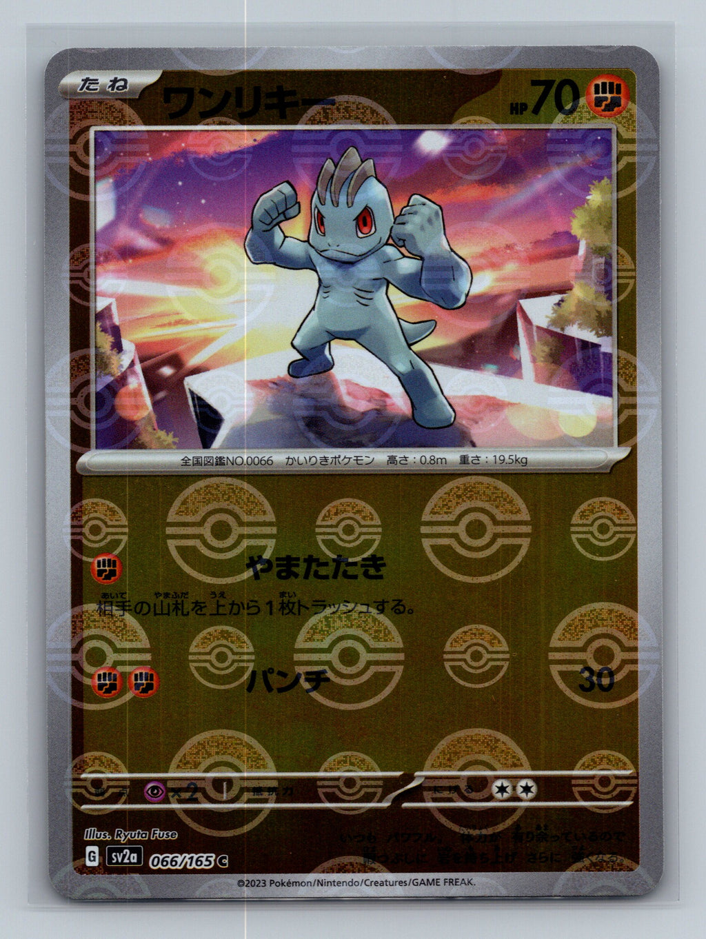 Machop (Poke Ball Pattern)
