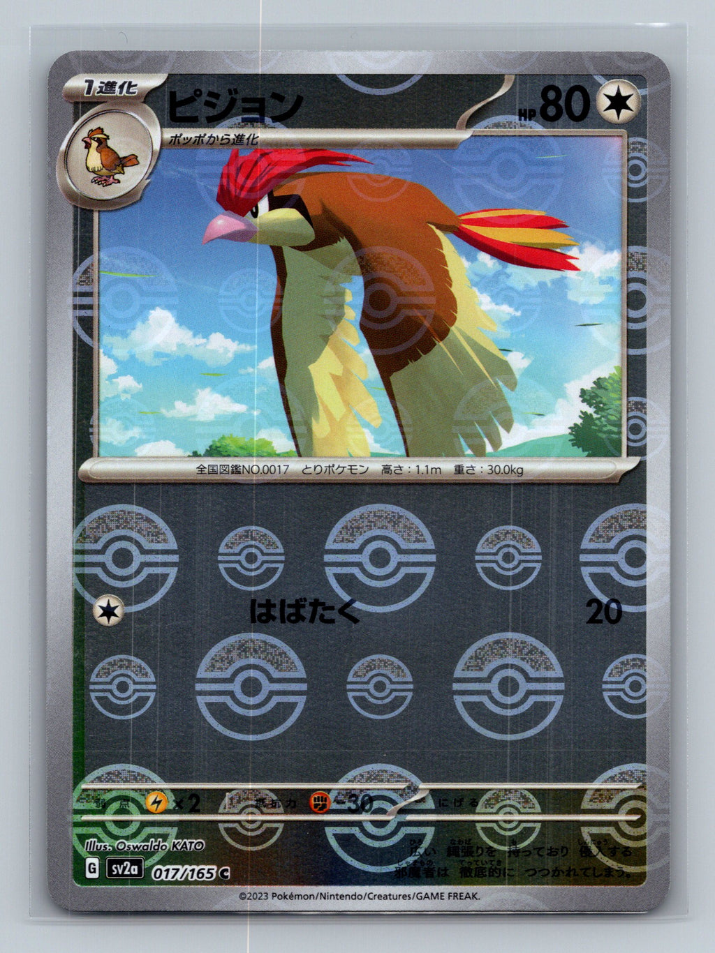 Pidgeotto (Poke Ball Pattern)