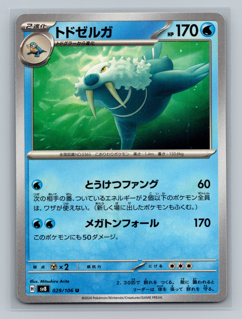 Walrein