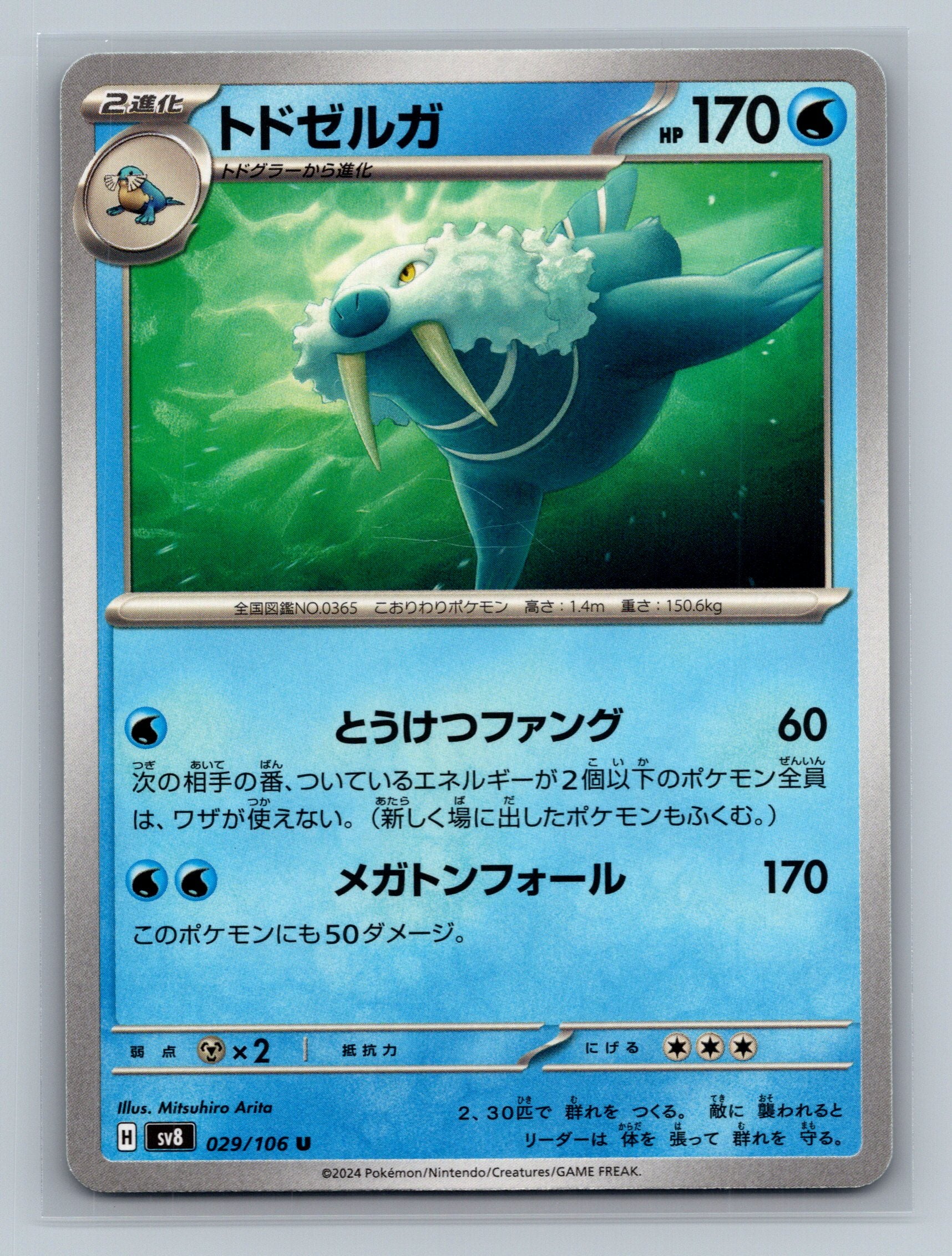 Walrein