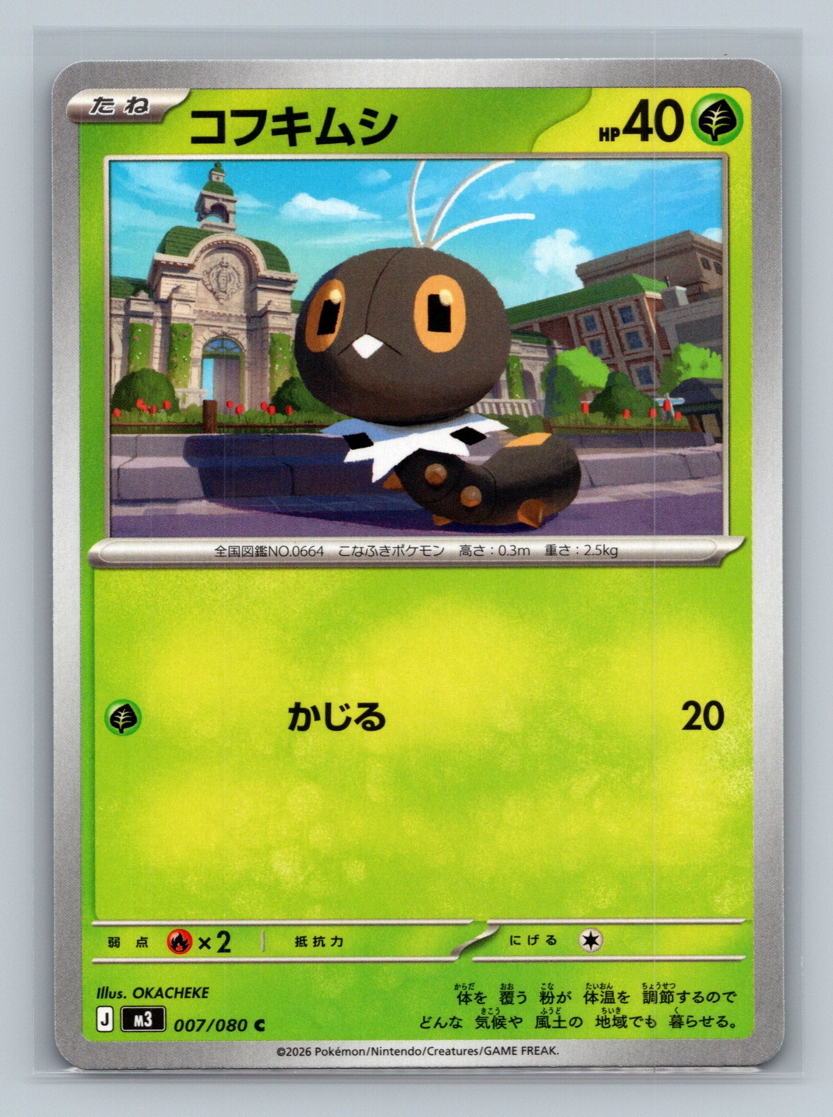 Scatterbug