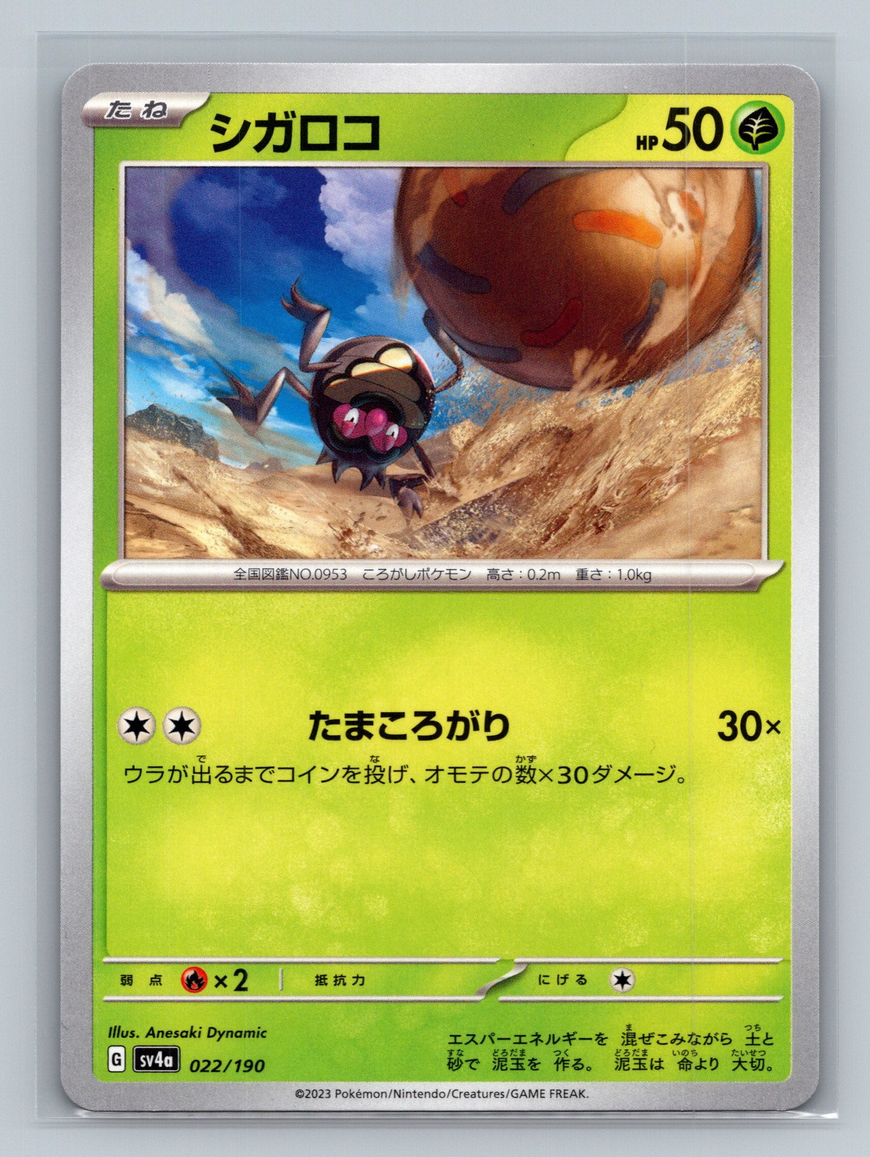 Rellor - 022/190
