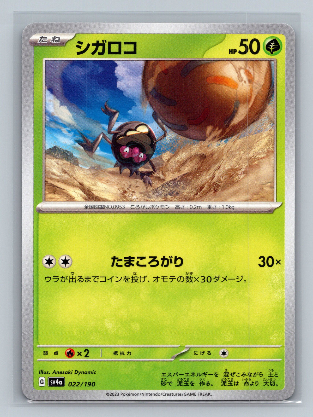 Rellor - 022/190