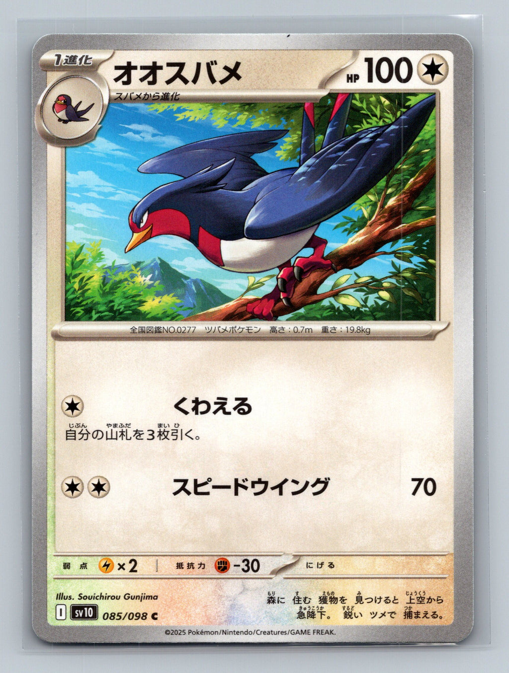 Swellow