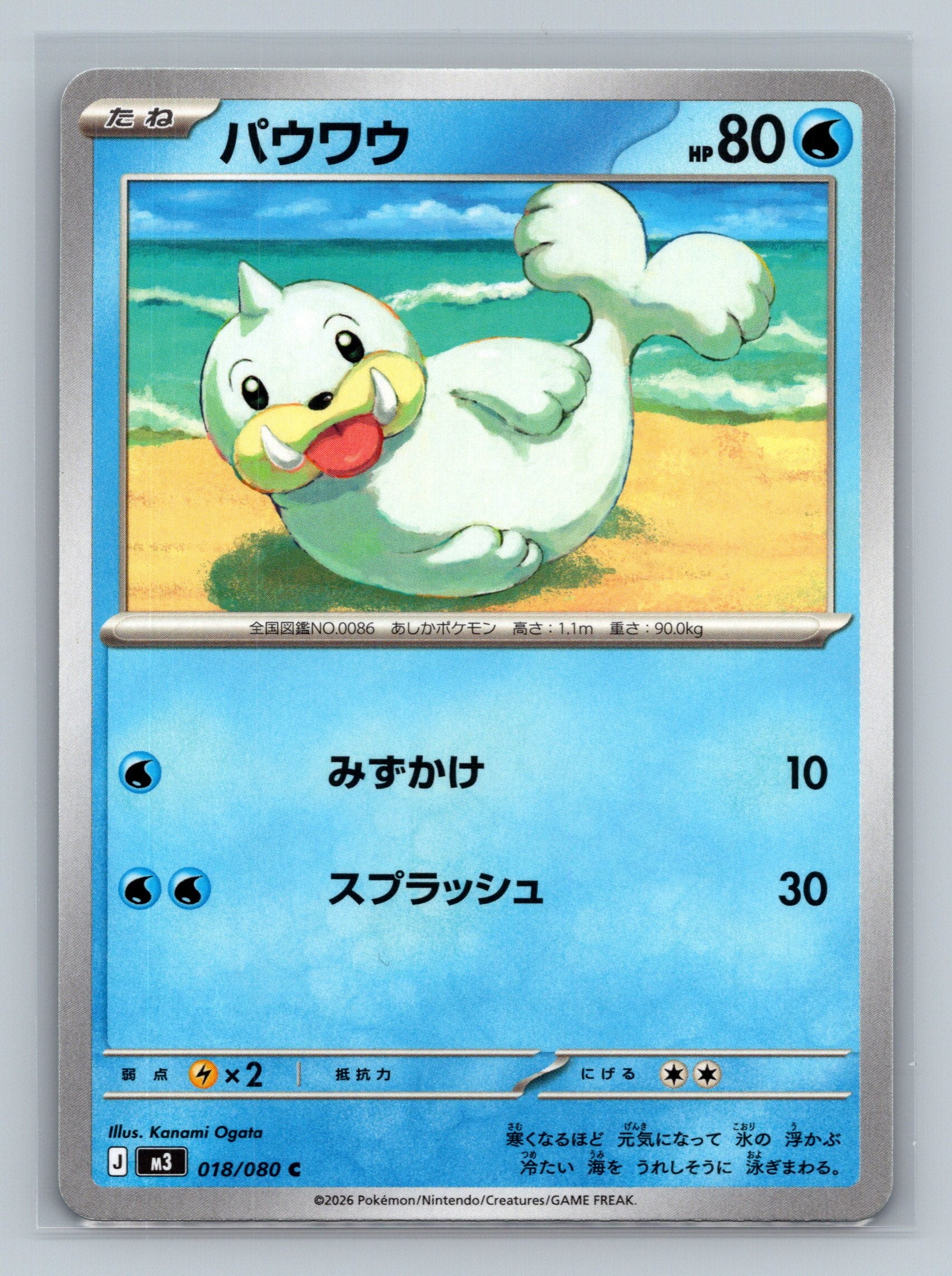 Seel
