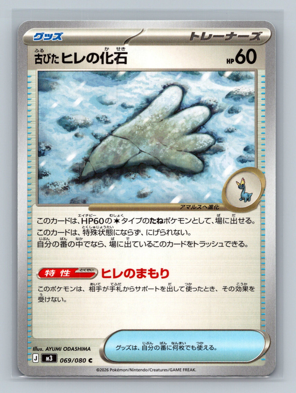 Antique Sail Fossil