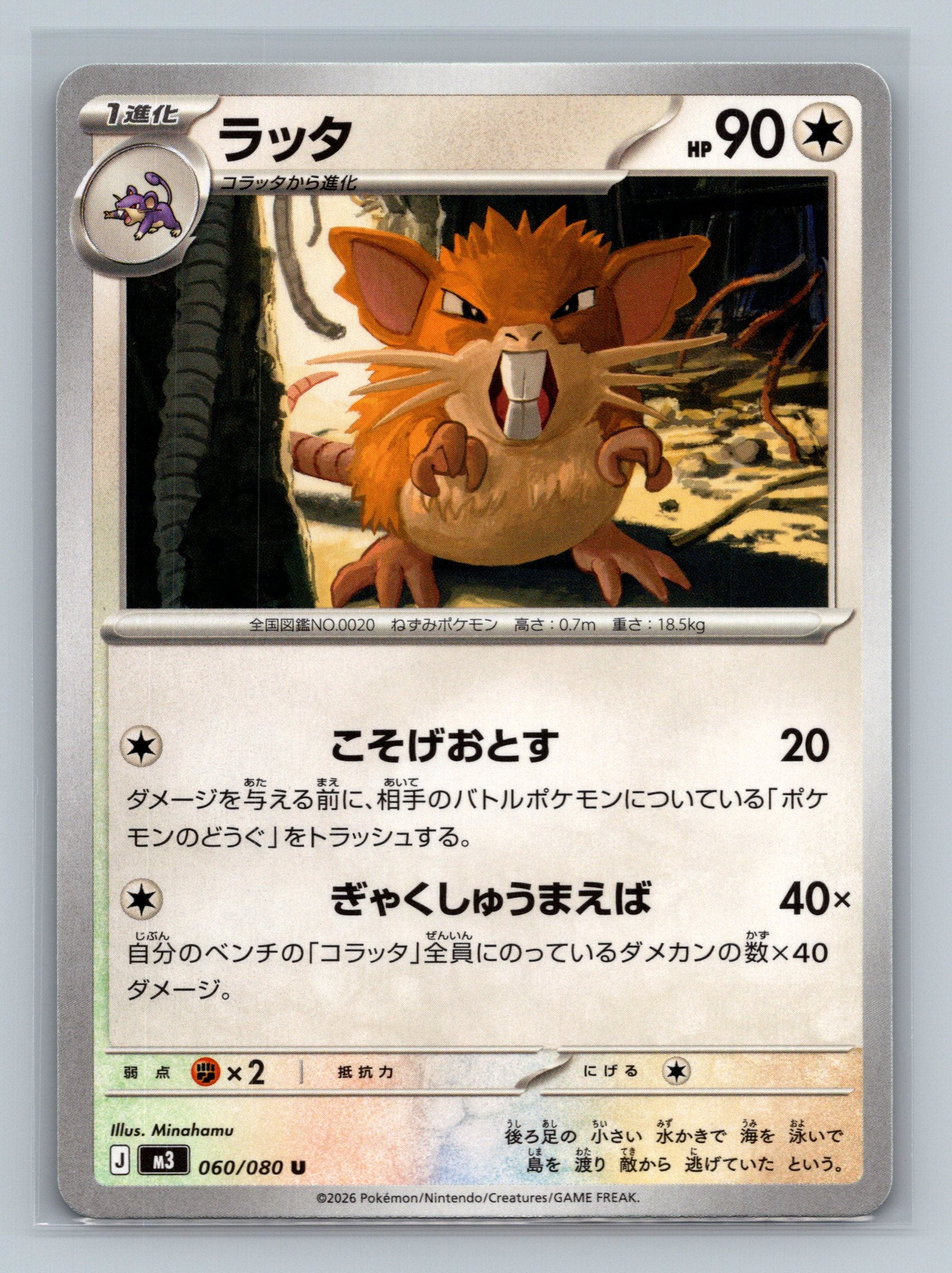 Raticate - 060/080