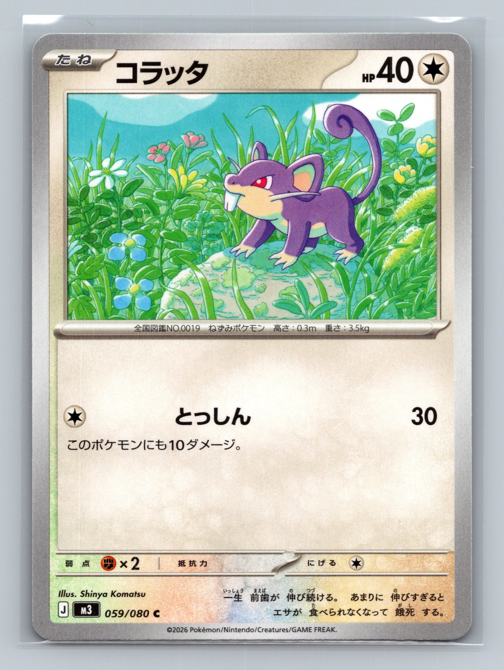Rattata